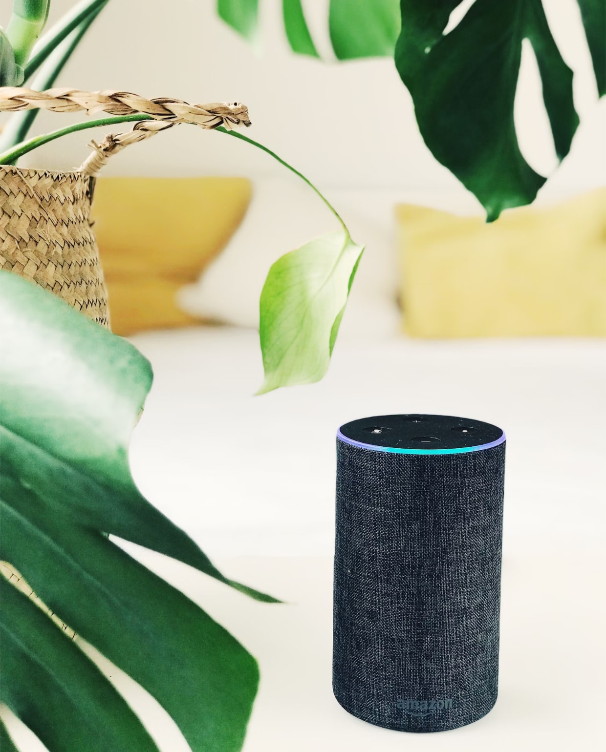 Dat klinkt goed: een smart speaker als persoonlijke assistent Jan Antonin Kolar via Unsplash