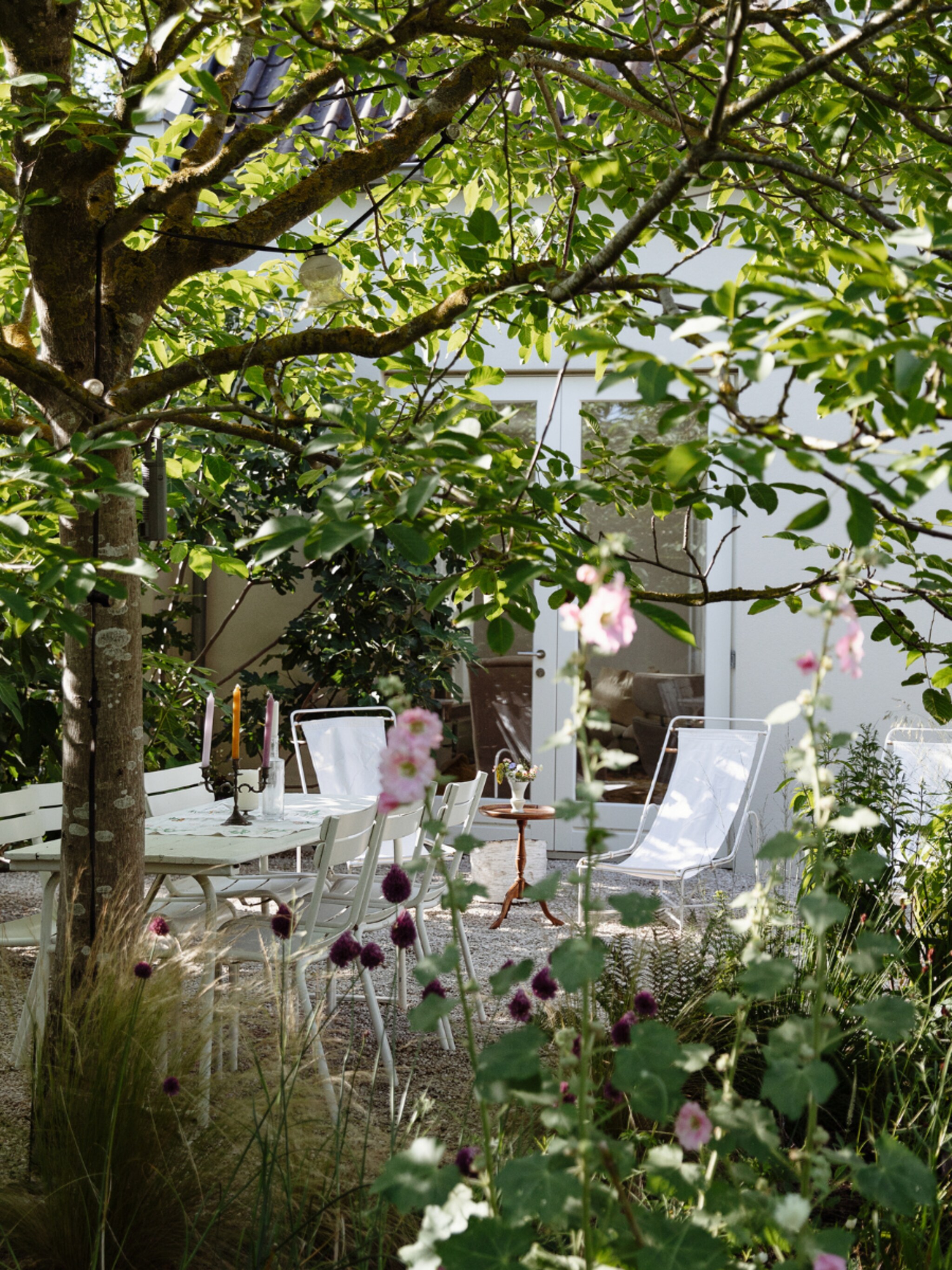 last minute groen deze planten en struiken kun je volgens onze experts deze zomer nog planten