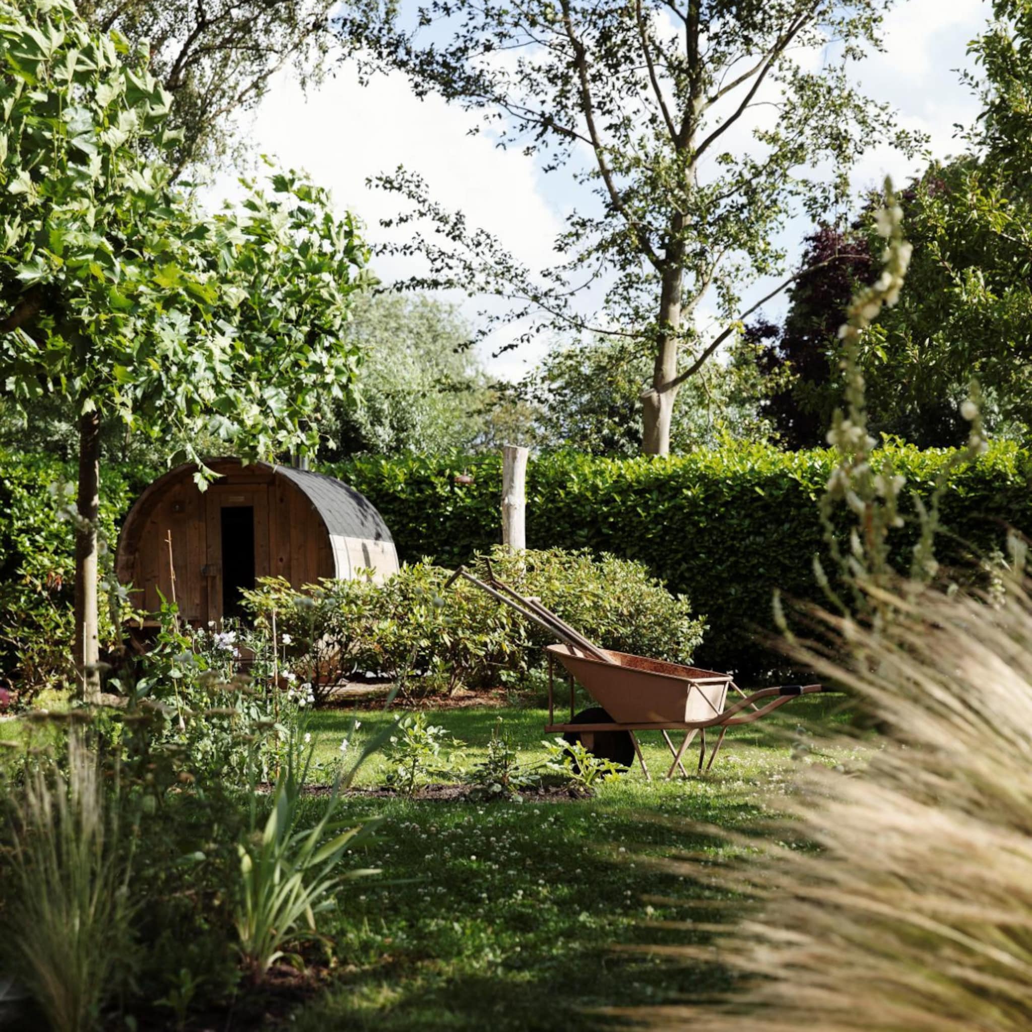 tuin klaarmaken voor herfst en winter
