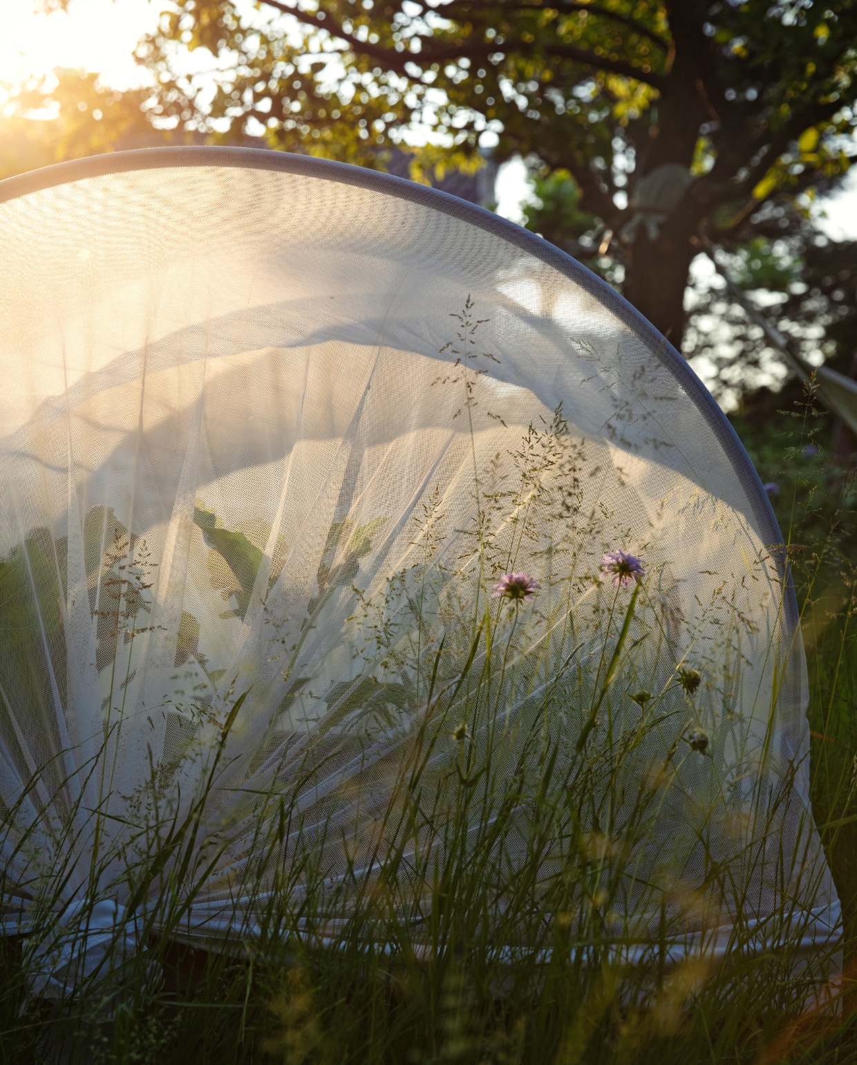 Het gaasdoek over de moestuinbak moest de slakken weghouden, maar die trekken zich er weinig van aan. vtwonen Tuin 09 | styling Ilona Jongepier | fotografie Dana van Leeuwen