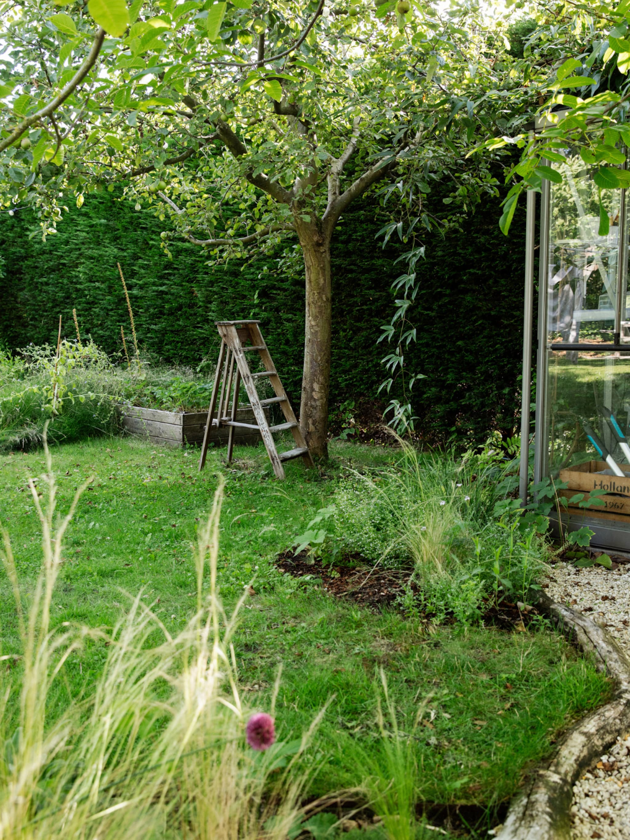 tuinkalender juni dit doe je voor een goede aftrap van de zomer