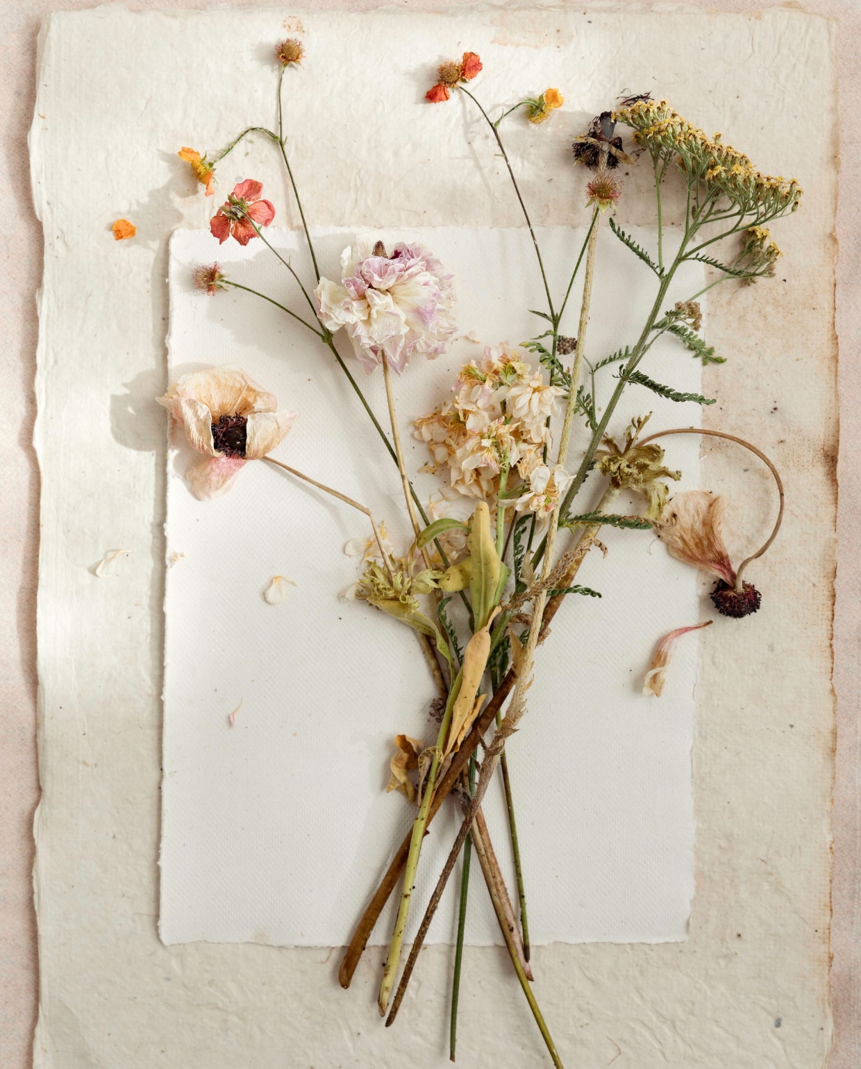 Droogboeket van onder andere papaver, anemoon en duizendblad. vtwonen Tuin 09 | styling Ilona Jongepier | fotografie Dana van Leeuwen
