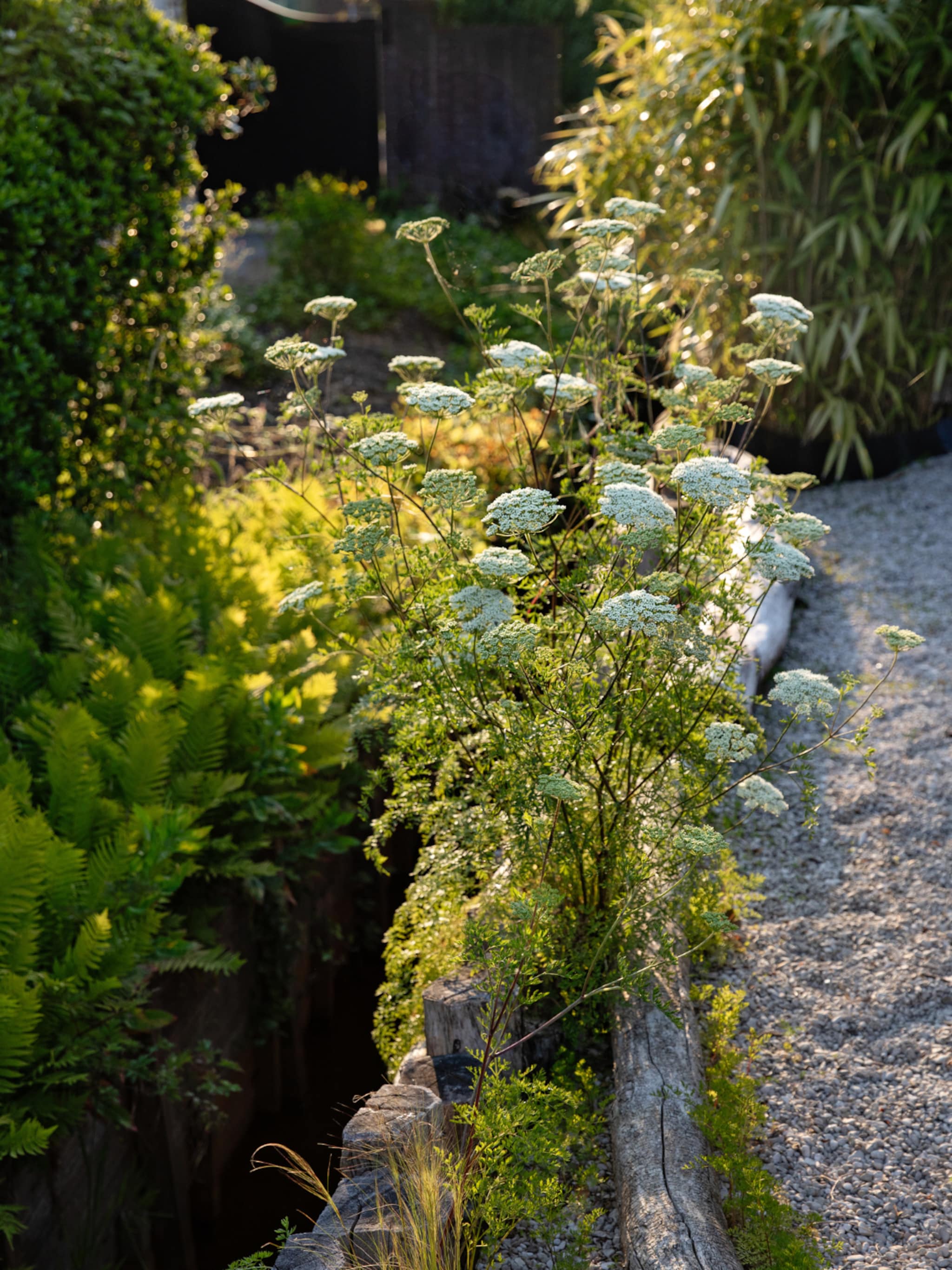 ecologische tuin maken tips