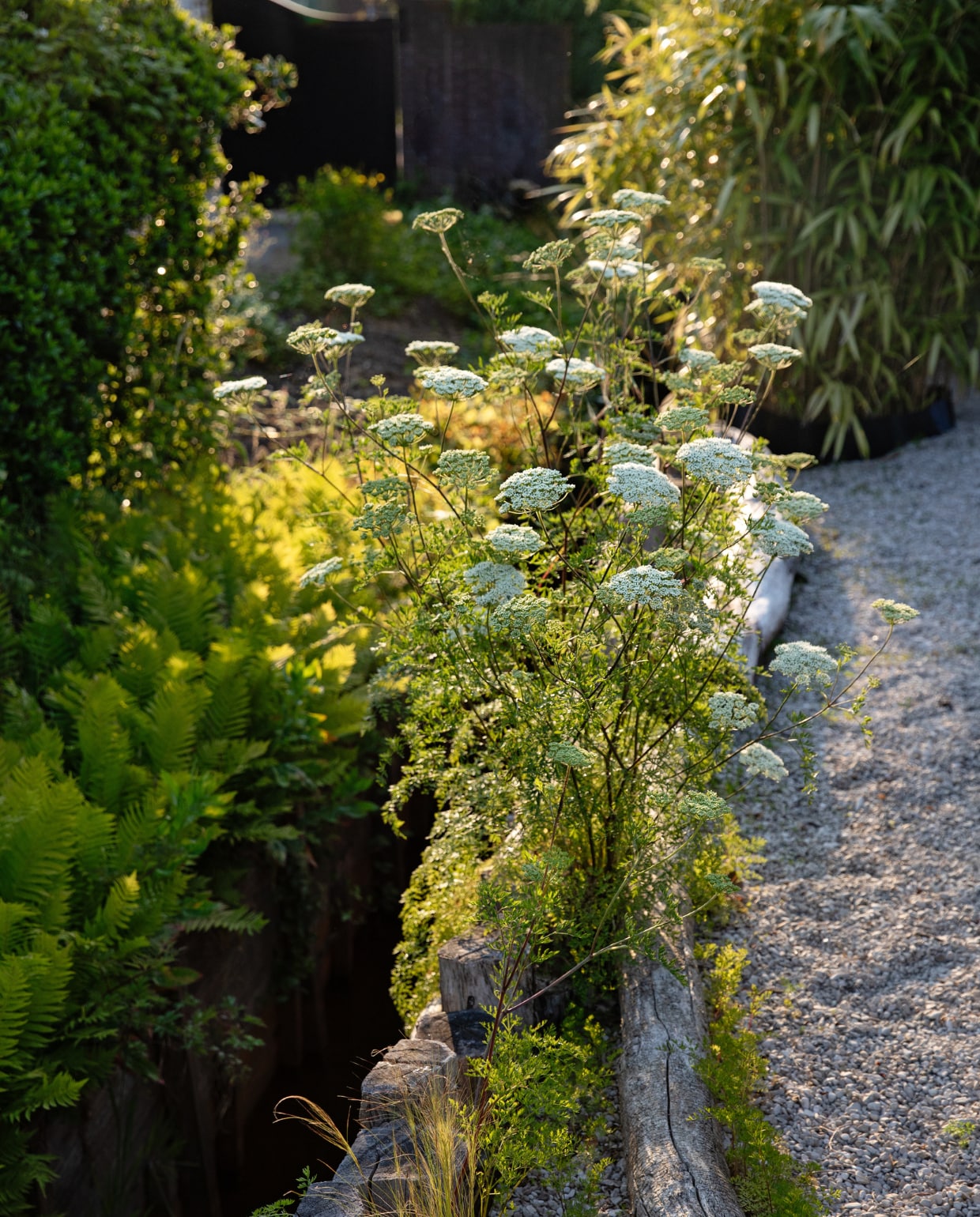 Door deze beek stroomt het snelst stromende water van Nederland. De scheiding tussen grind en gras is gemaakt van acaciastammen. vtwonen Tuin 09 | styling Ilona Jongepier | fotografie Dana van Leeuwen