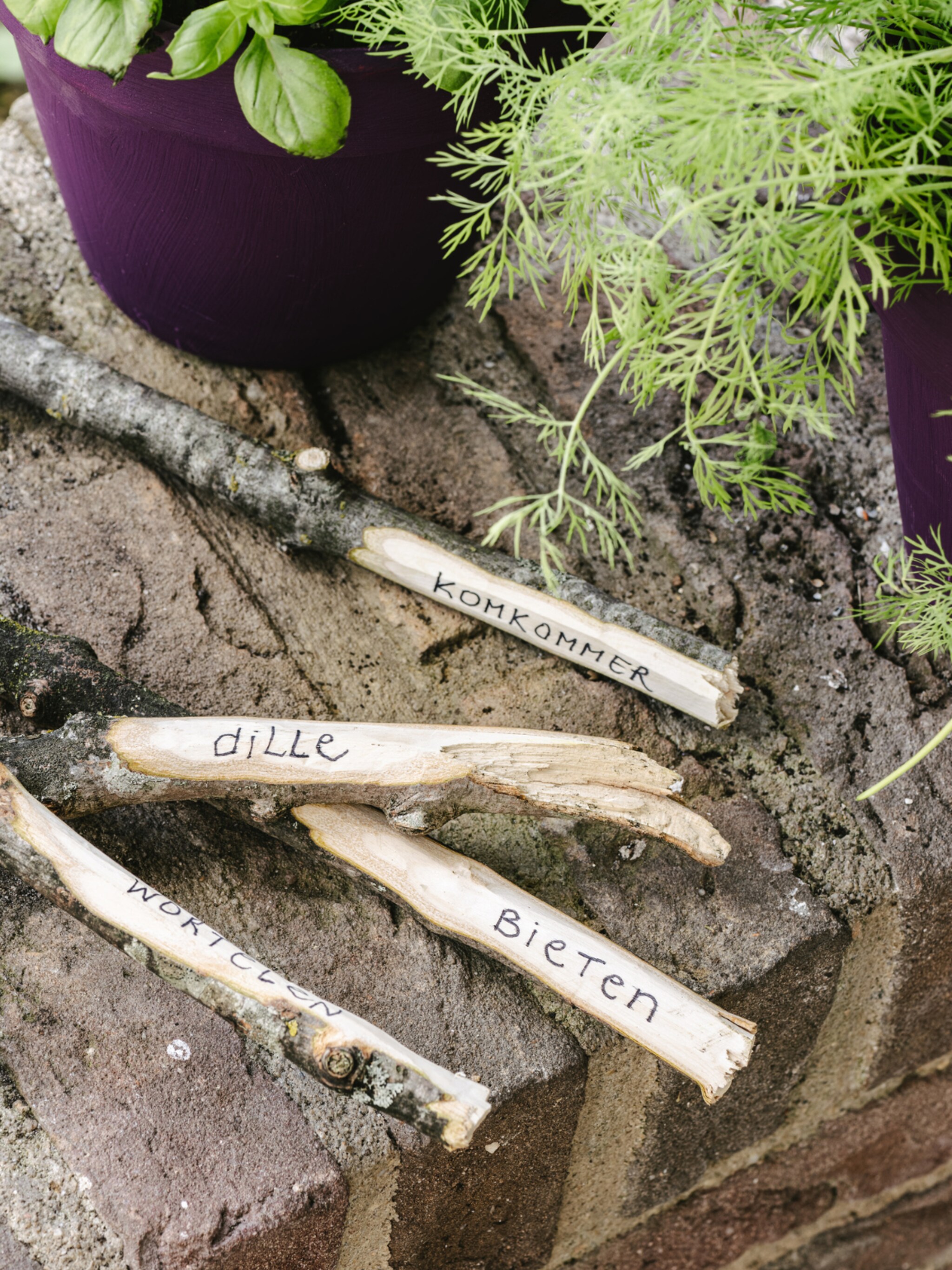 diy zo maak je zelf duurzame plantenlabels voor een georganiseerde moestuin