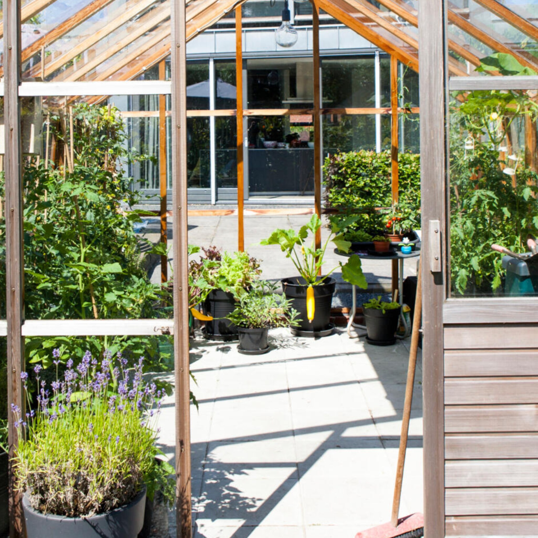 Tuin met minikas