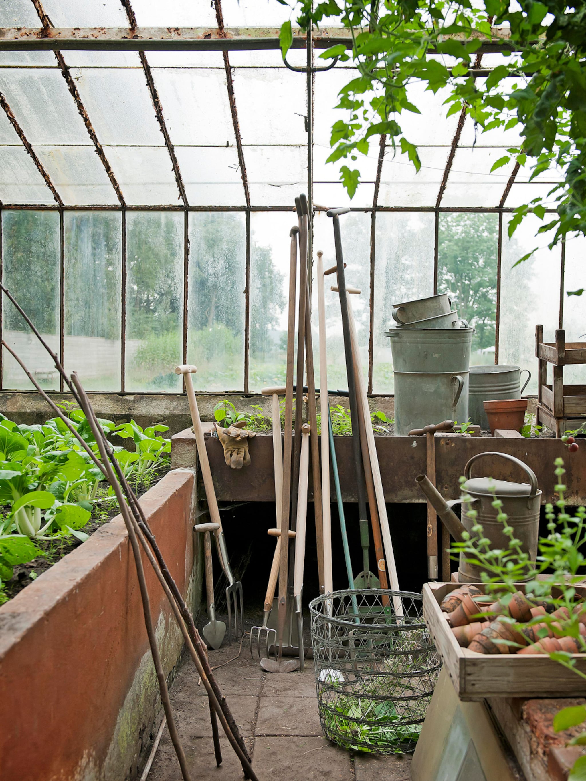 geen groene vingers geen probleem drie lifehacks in de moestuin