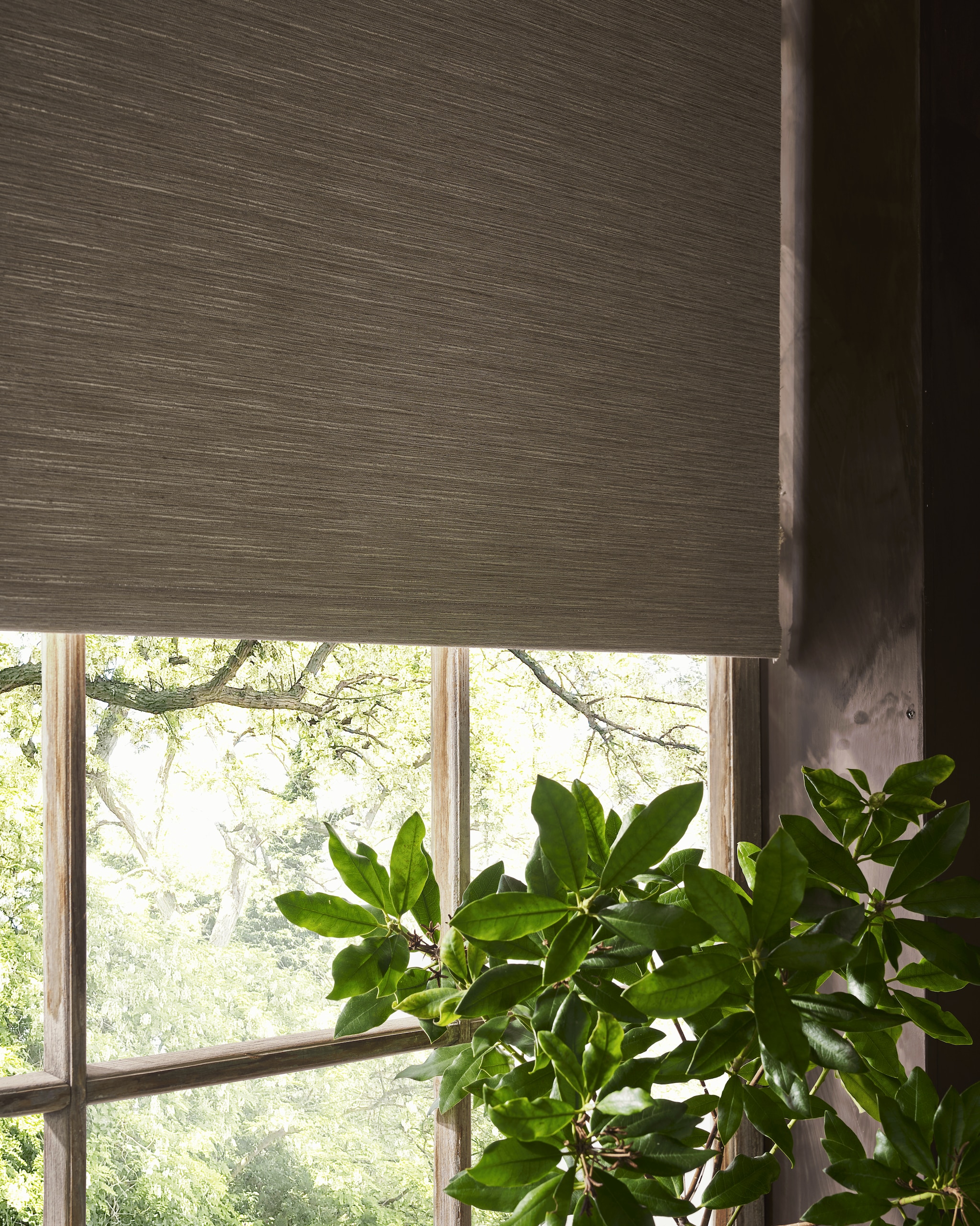 Verduisterend rolgordijn Sand, vanaf 60x190 cm (bxh) € 78,99. vtwonen 07-2024 | styling Cleo Scheulderman | fotografie Jeroen van der Spek