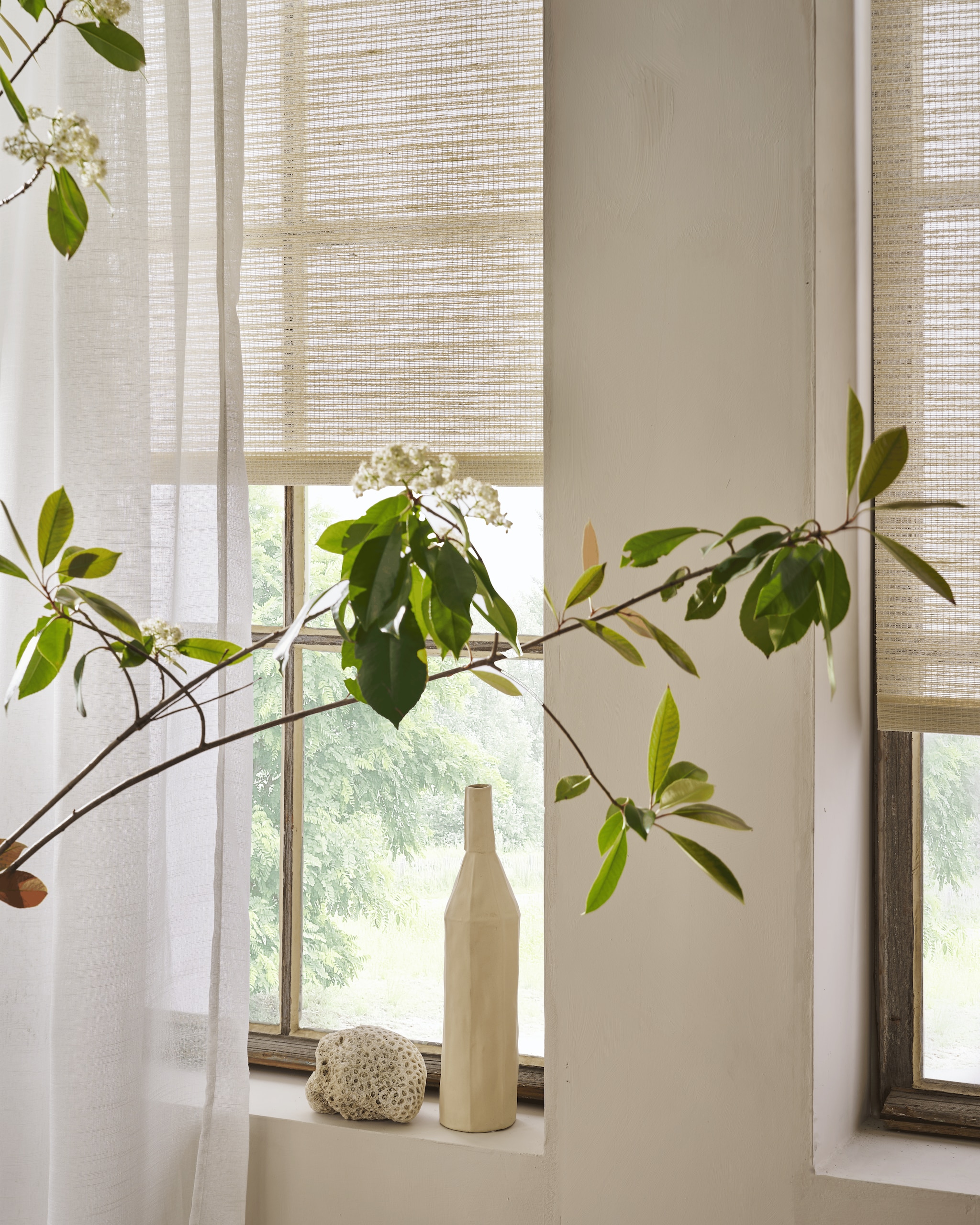 Lichtdoorlatende rolgordijnen Air, 90x190 cm (bxh), per stuk vanaf € 78,99. Halftransparante gordijnen Frost in wit met plooi, 140x270 cm (bxh), per stuk € 49,99. vtwonen 07-2024 | styling Cleo Scheulderman | fotografie Jeroen van der Spek