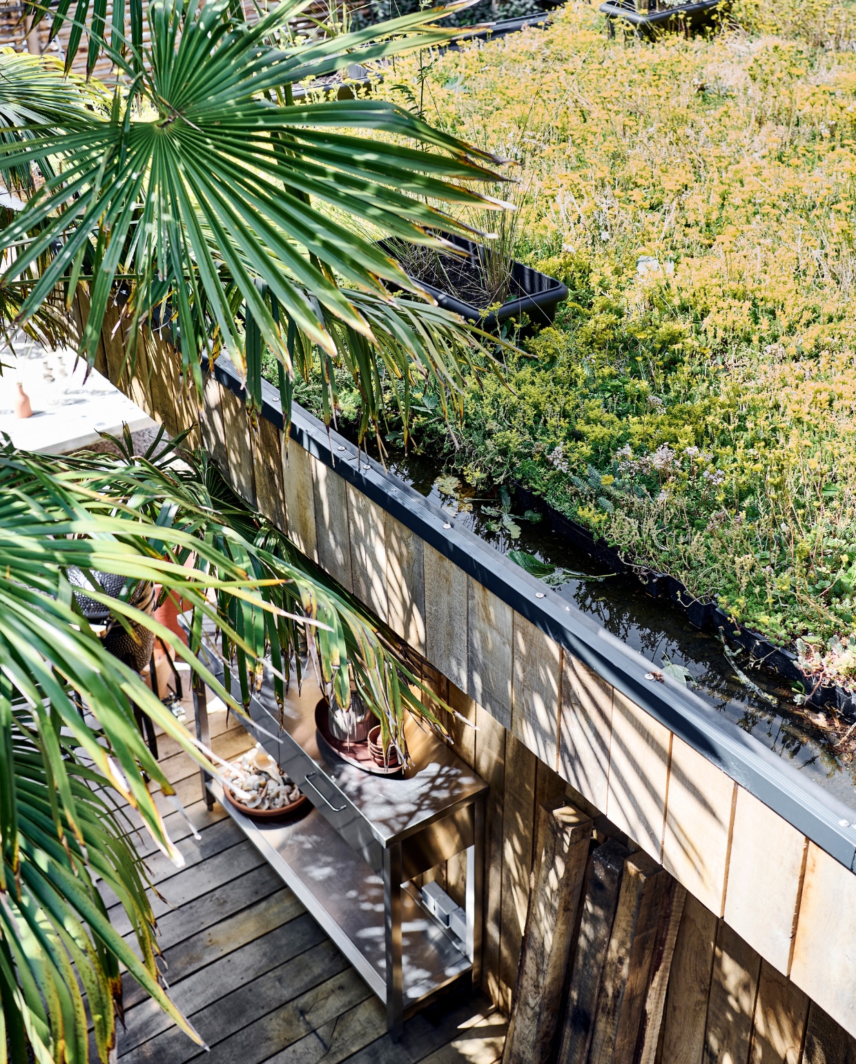 Op het dak van het tuinhuis liggen lichtgewicht cassettes met bloeiende en wintergroene sedumsoorten, daartussen staan bakken met grassen. Isi geeft het sedum twee keer per jaar korrelvoeding. ‘Het wemelt hier van de vlinders en wilde bijen, maar ook van allerlei torren; lekker voor de vogels.’ vtwonen tuinspecial 10 | styling Liza Wassenaar | fotografie Sjoerd Eickmans