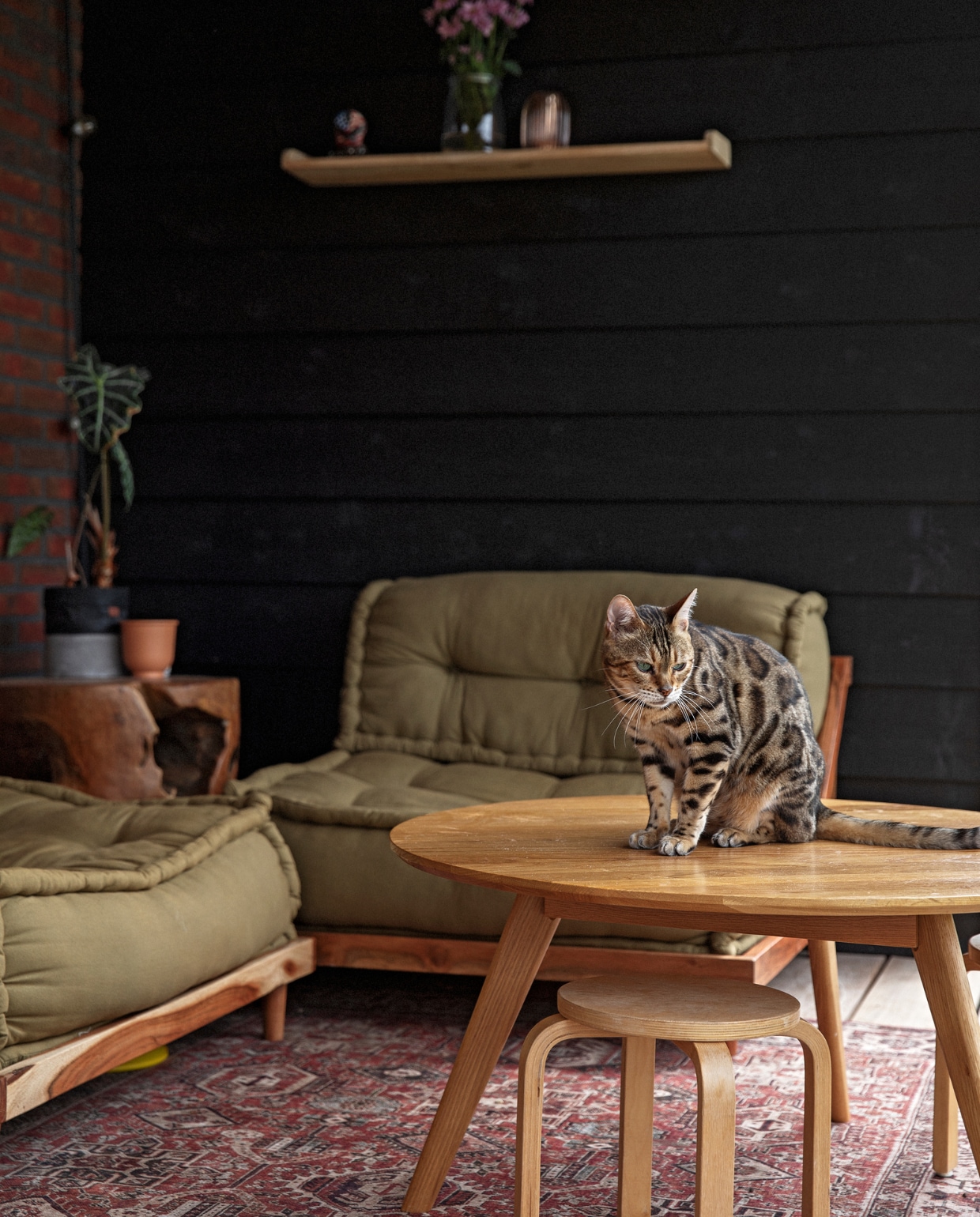 Banken Sklum. Tafel Loods 5. Kruk Ikea. Bijzettafel gekregen. Bloempotten, vazen Ikea. Wandplank, kleed Karwei. vtwonen 10-2021 | styling Ilona Jongepier | fotografie Dana van Leeuwen