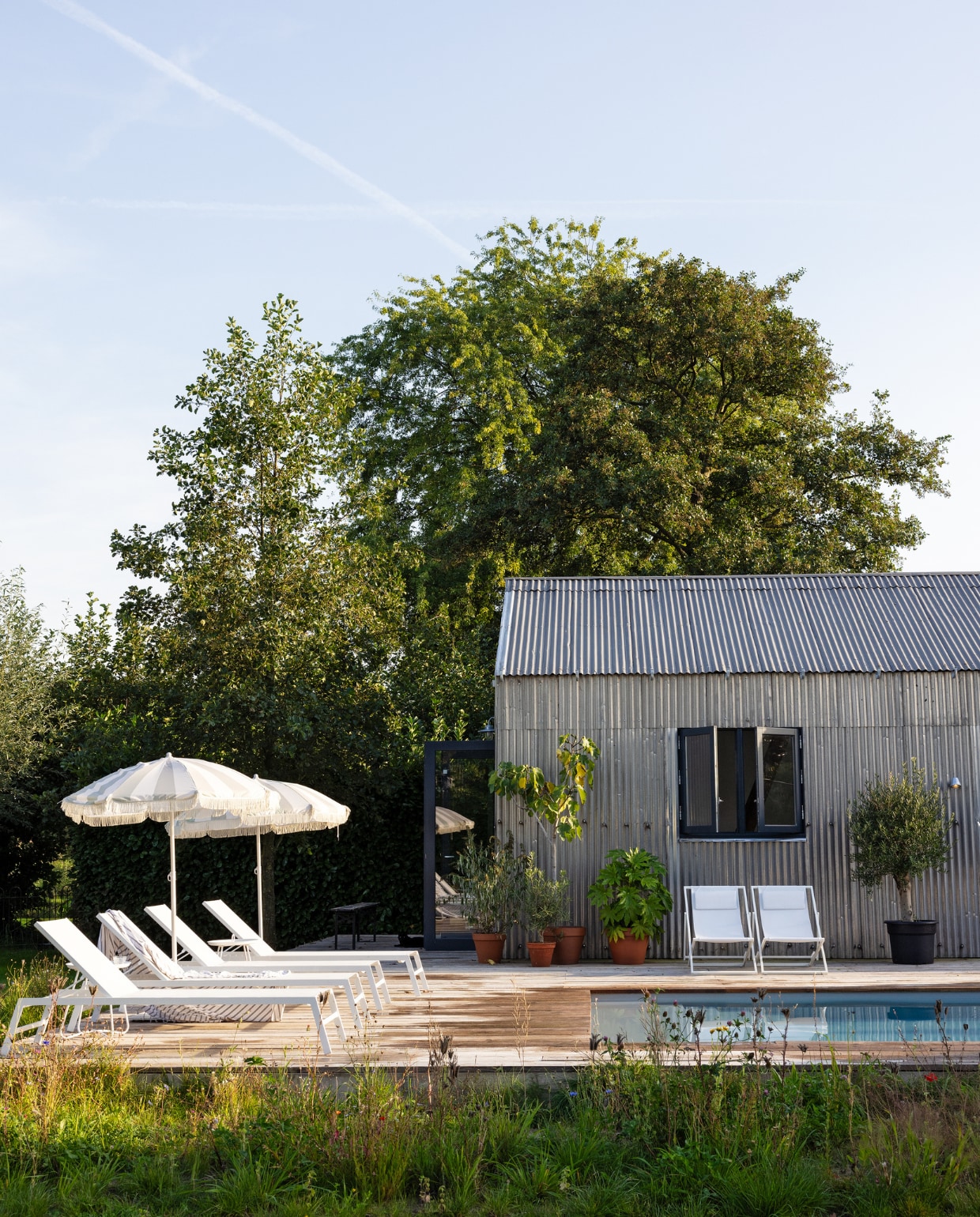 Op de voorgrond een strook met wilde bloemen, in de potten vijgenbomen en een olijf. Ligbedden en stoelen Maisons du Monde. Parasols Kwantum. Schuur gebouwd van golfplaten van Marktplaats. vtwonen Tuin 10 | styling Ilona Jongepier | fotografie Dana van Leeuwen