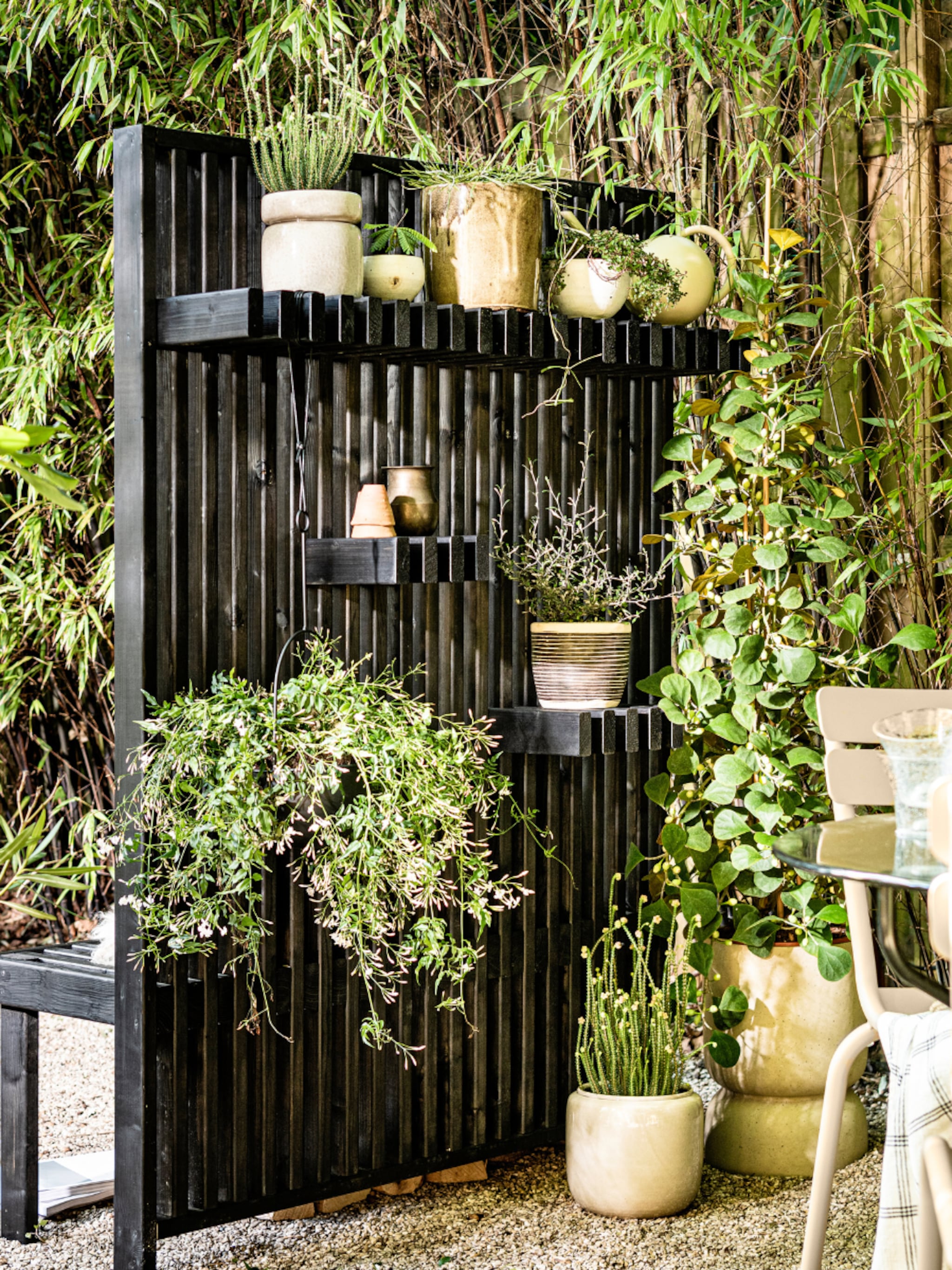 populairste tuin zoekopdrachten op pinterest