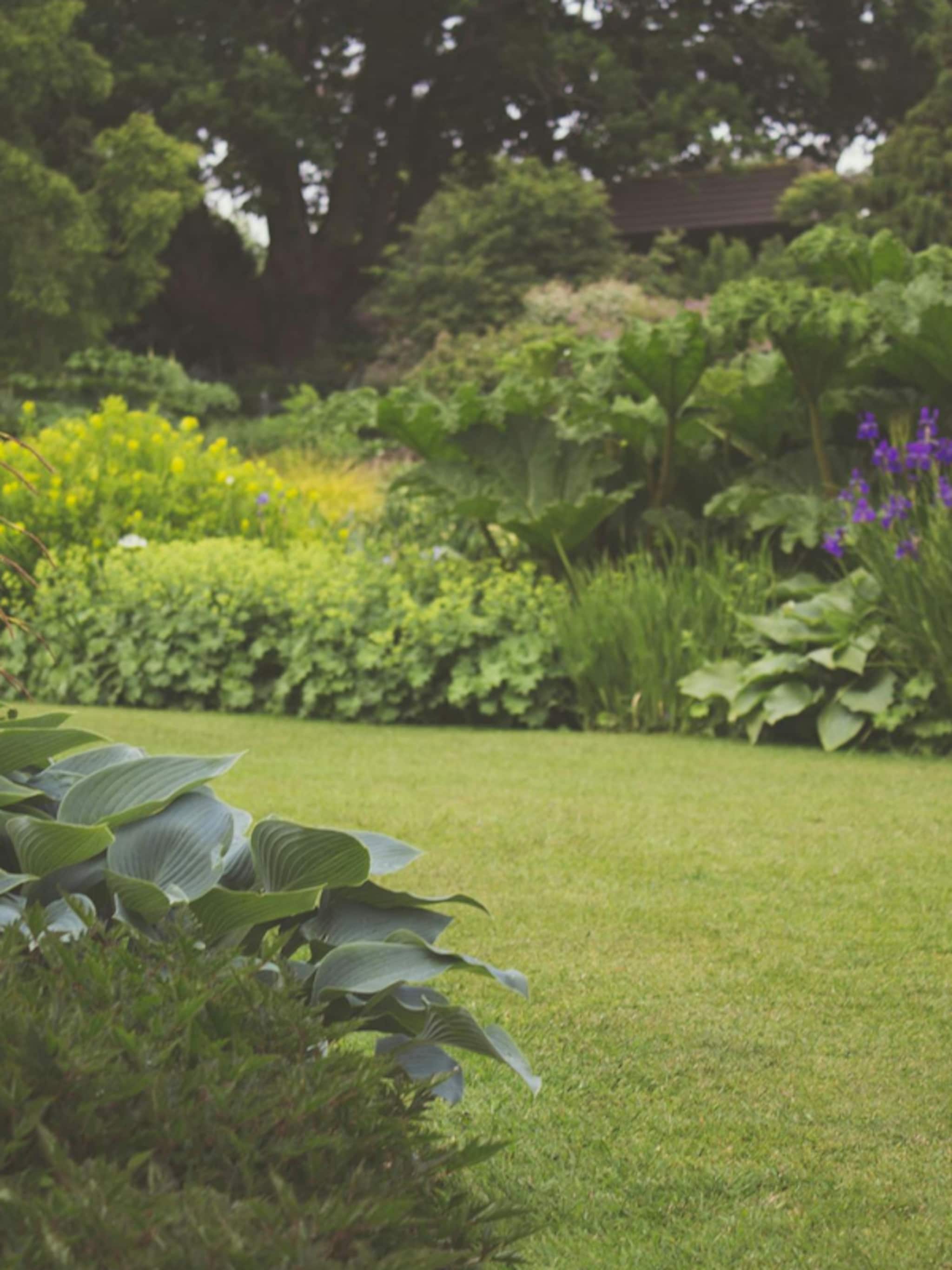 boordevol planten een border maken doe je zo