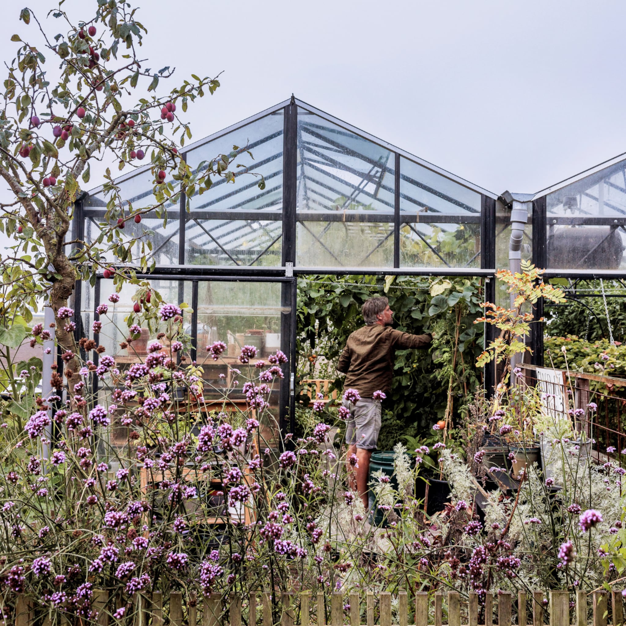 Tuin met tuinkas en planten