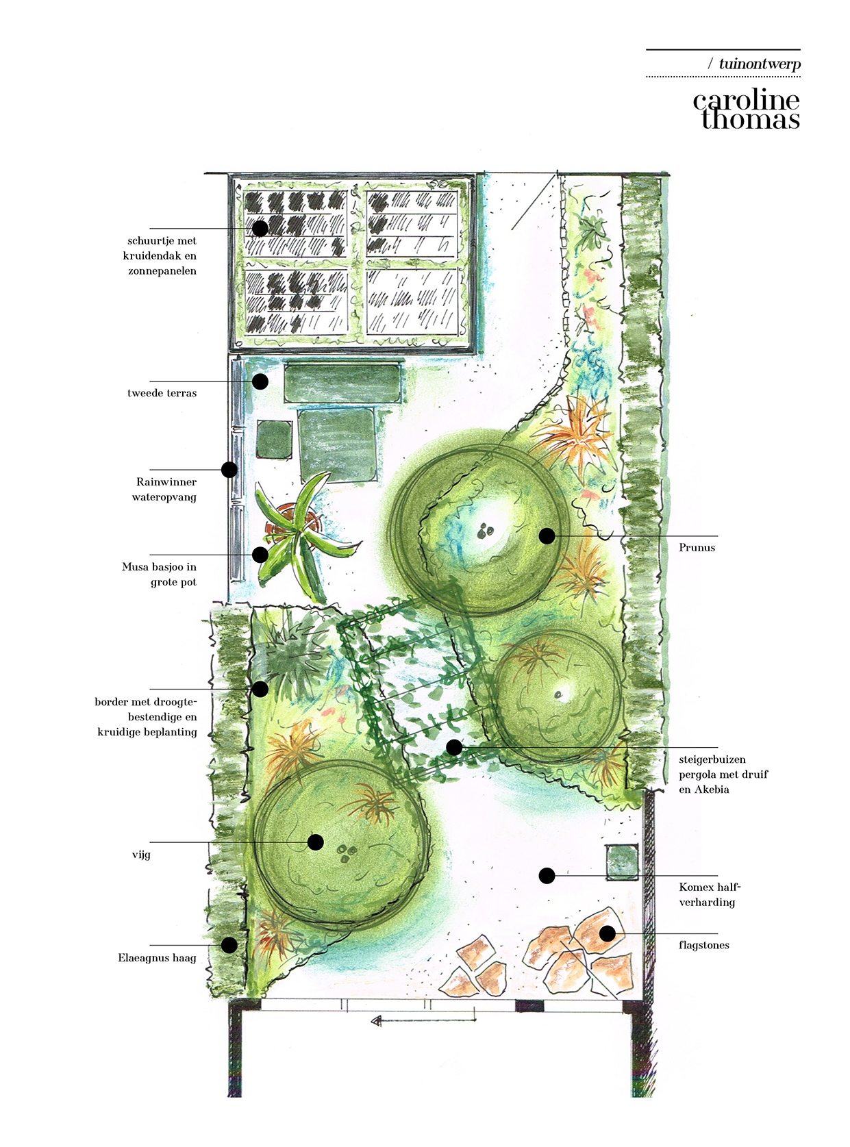 tuinontwerp Ontwerp Caroline Thomas