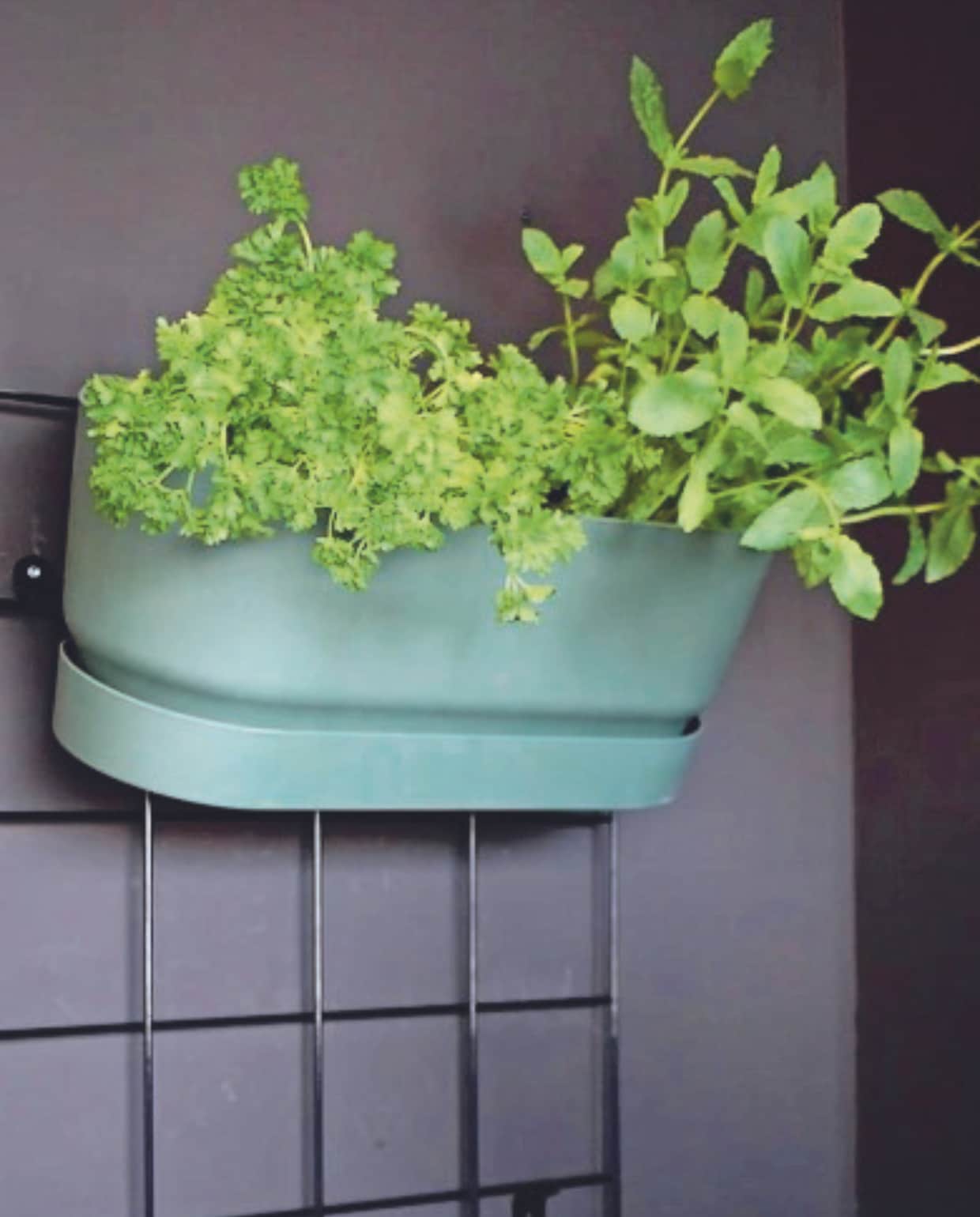 Wandrek Elho Loft Urban Green Wall. vtwonen | styling Marianne Luning | fotografie Lotte Kwant