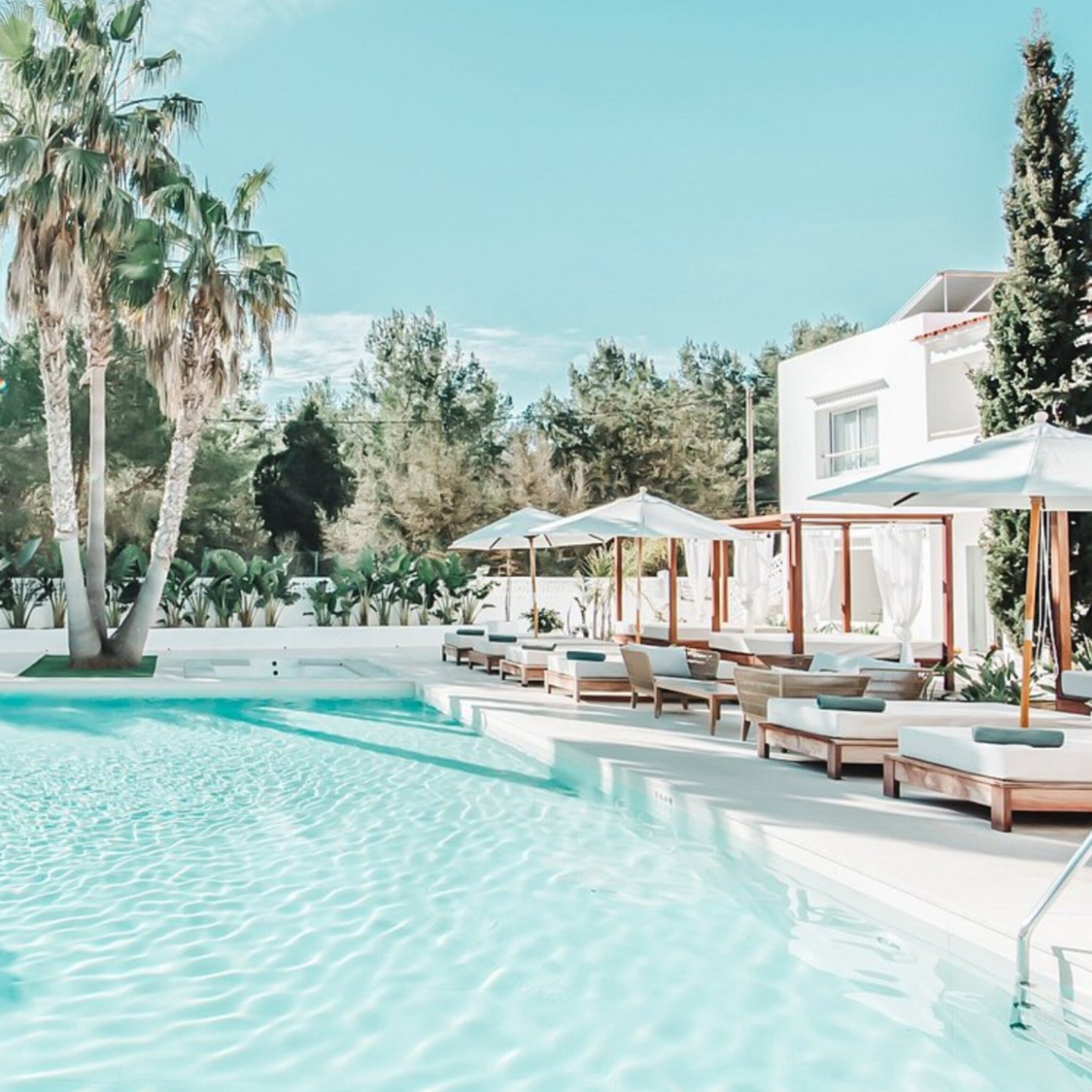 Zwembad met ligbedden, parasols en palmbomen bij een hotel in Ibiza
