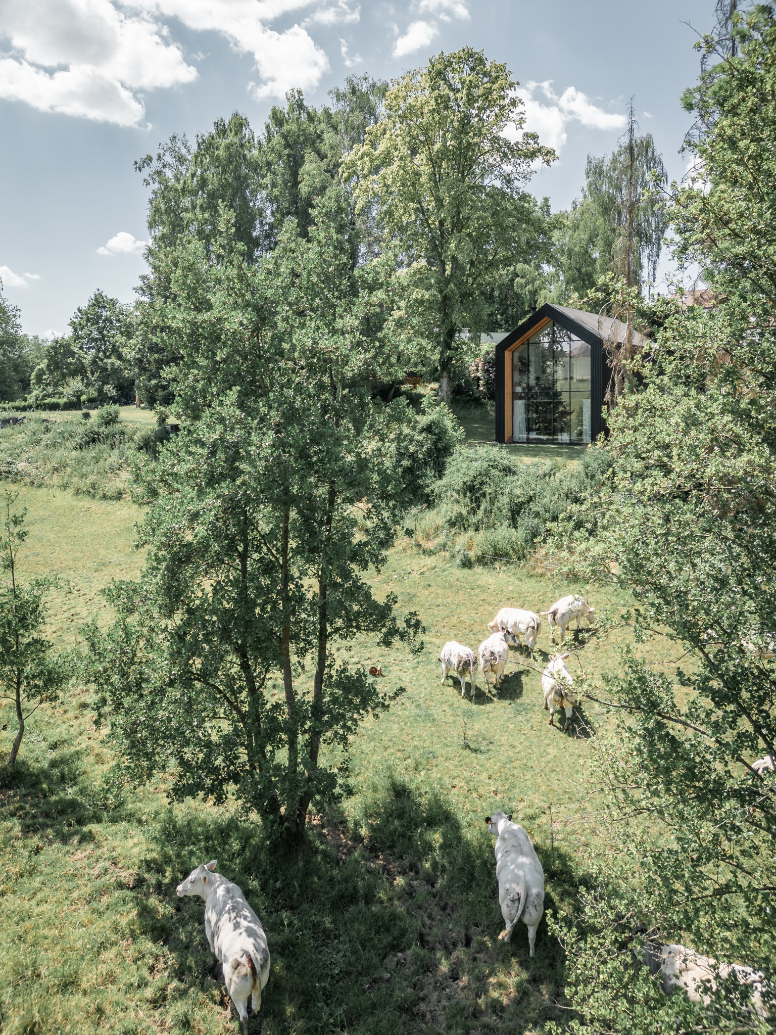 Omgeving houten hut in België Living agency - Utku Pekli