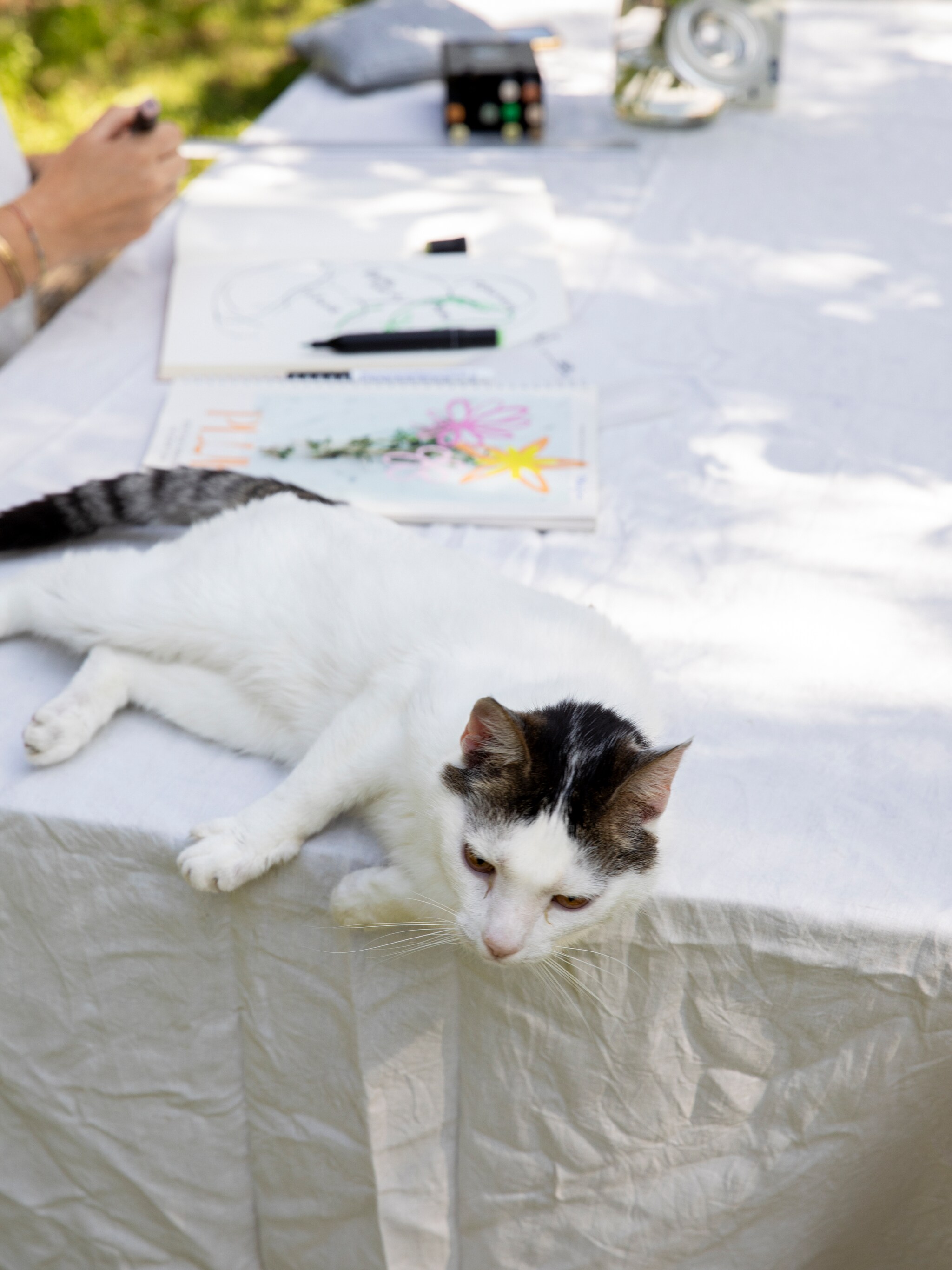internationale kattendag woontips voor kattenbaasjes
