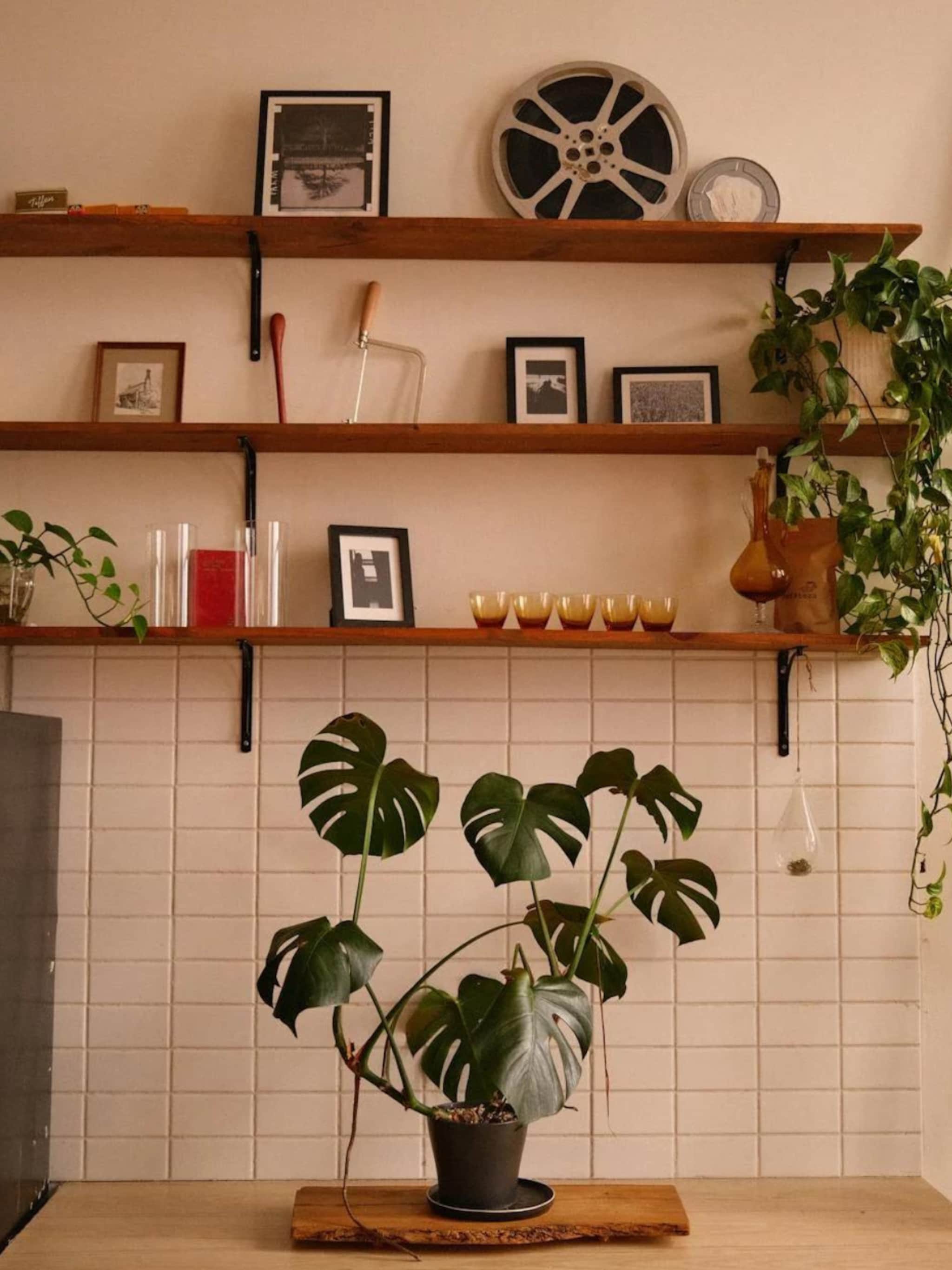 keep it cool zo overleven je kamerplanten de airco