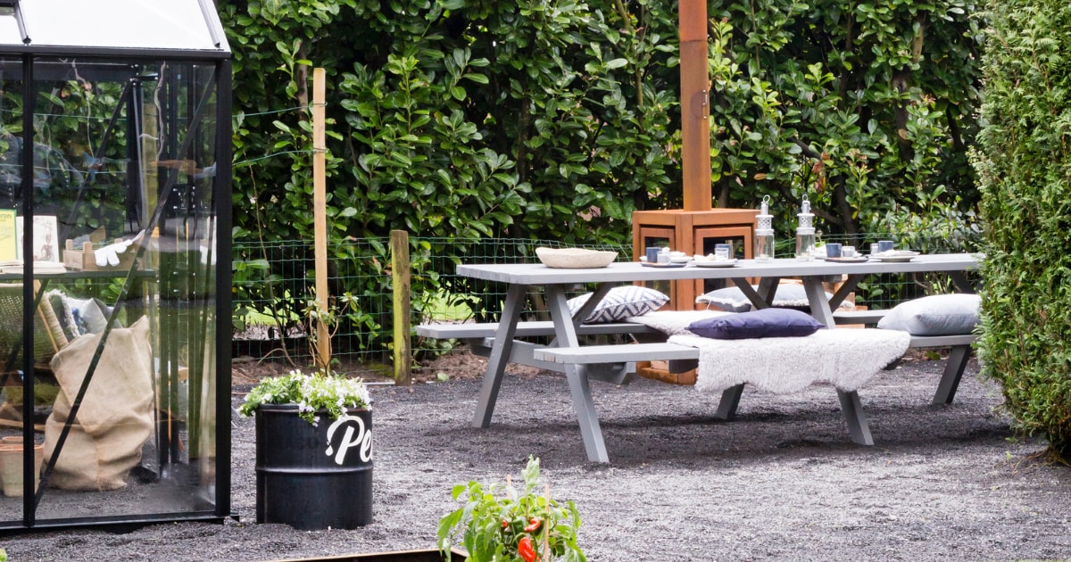 Taxus snoeien en bemesten: alle informatie en tips