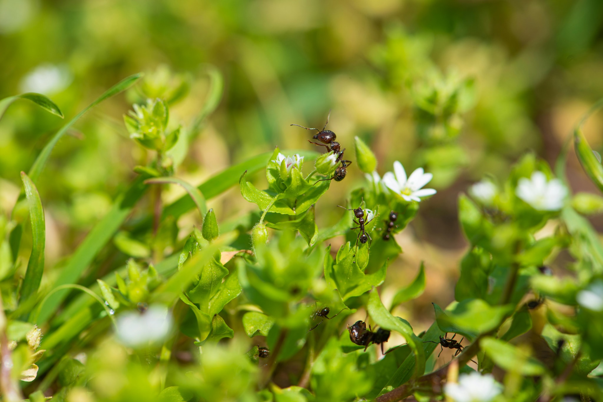 Beeld via Pexels Beeld via Pexels