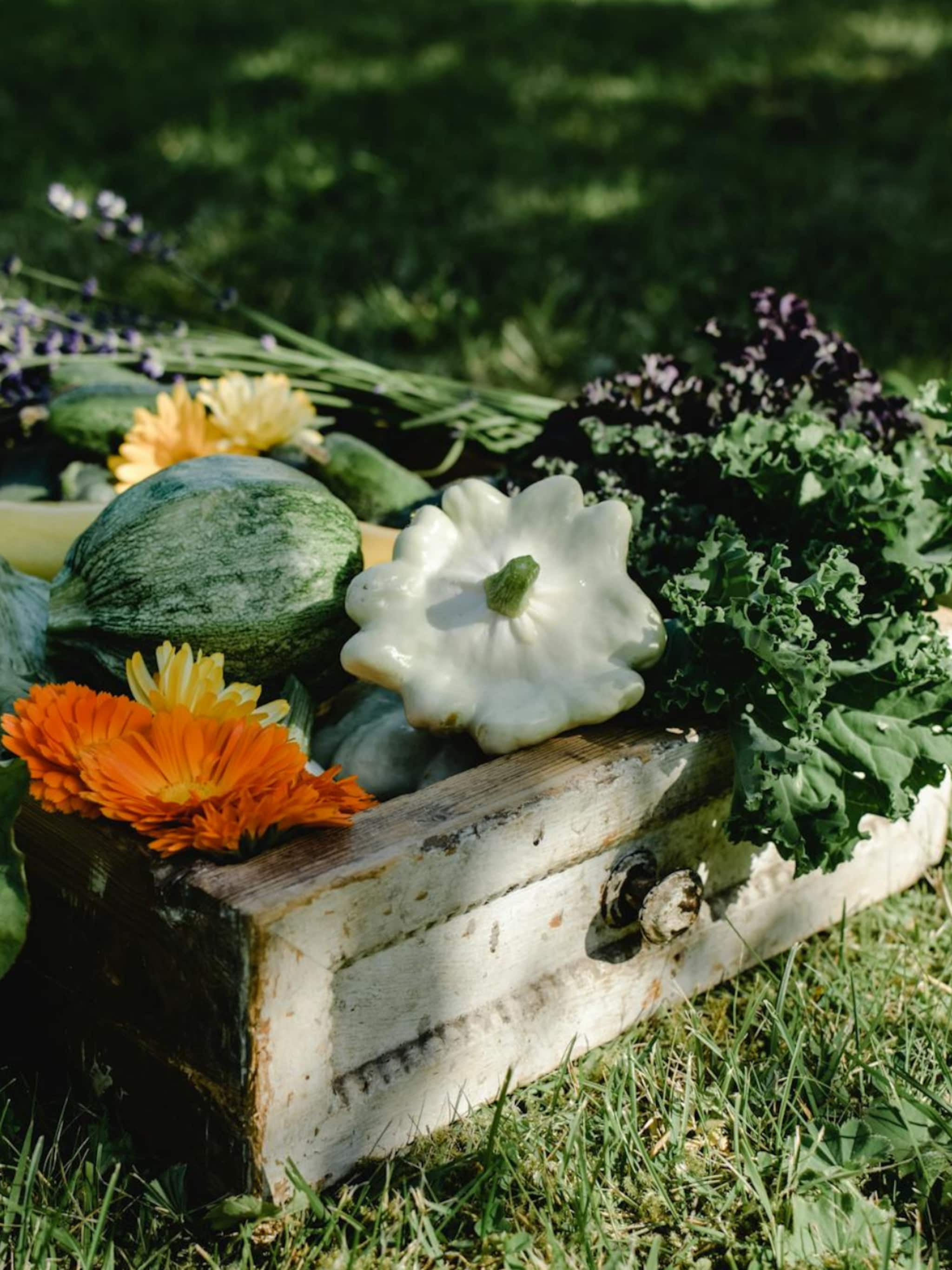 compostbak maken een duurzaam tuinproject