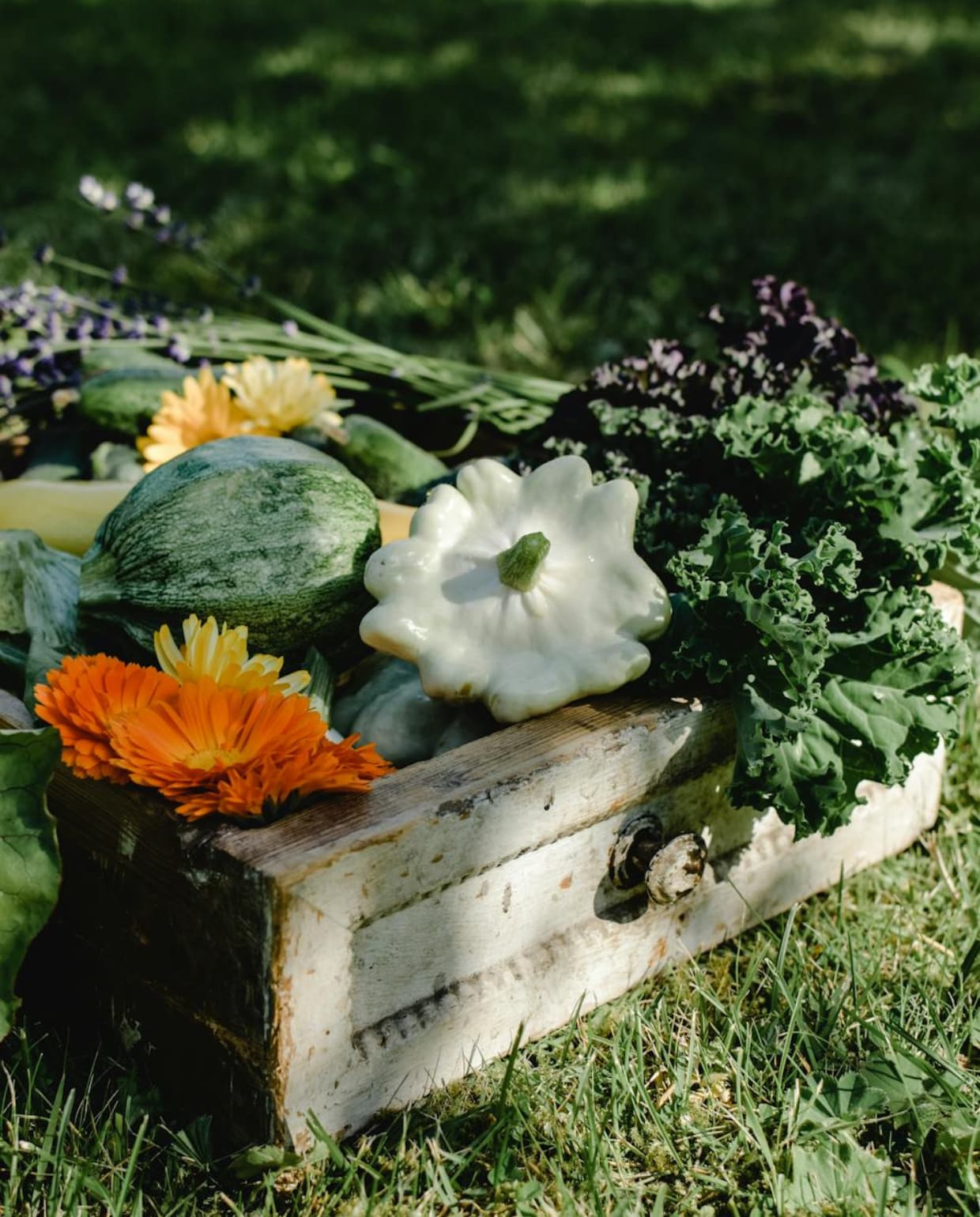 Compostbak maken: een duurzaam tuinproject Pexels
