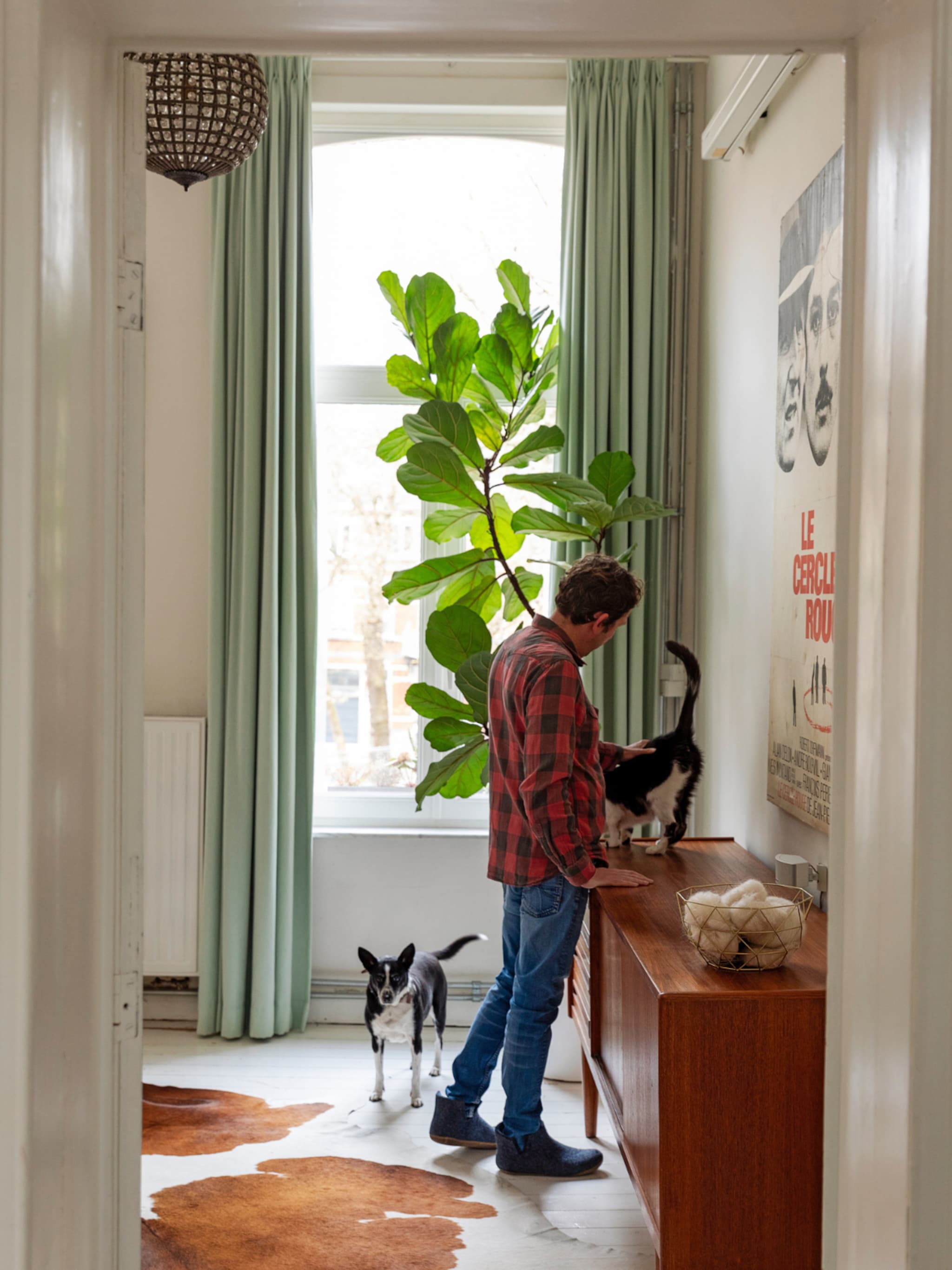 giftige tuinplanten honden katten symptomen