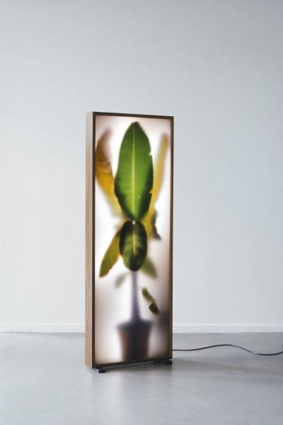 Growing Plants Indoors heet het project waarmee REM Atelier bekend werd: lichtbakken met een unieke 3D-collage van telkens weer een nieuwe bananenplant. Interview met de gezichten achter REM Atelier