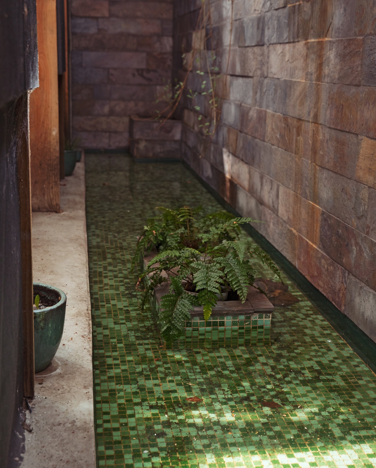 Bodem van de lichtschacht met lage, betegelde vijver en waterplanten. vtwonen 07-2022 | styling Ilona Jongepier | fotografie Dana van Leeuwen