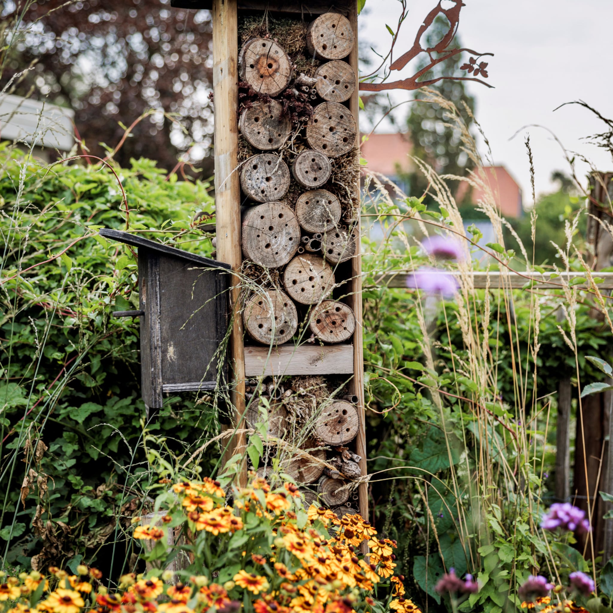 Tuin met insectenhotel