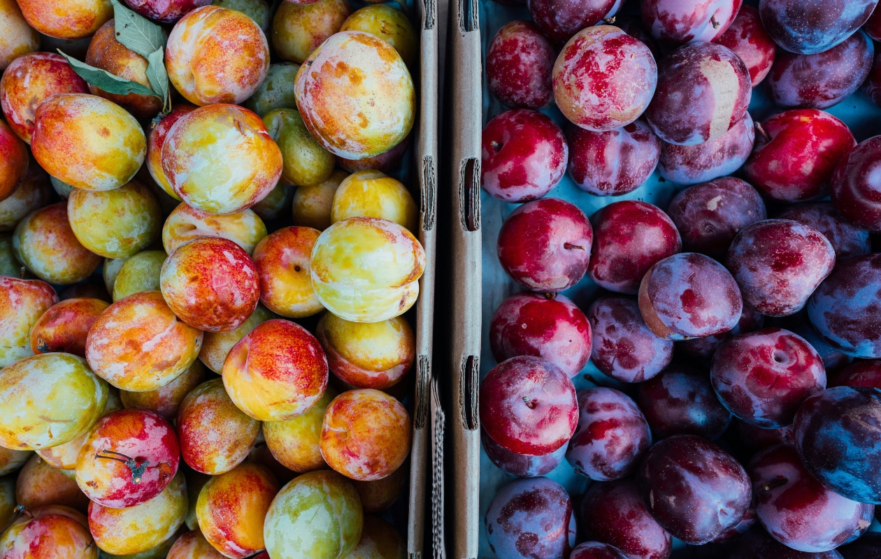 Twee verschillende soorten pruimen. Thom Milkovic via Unsplash