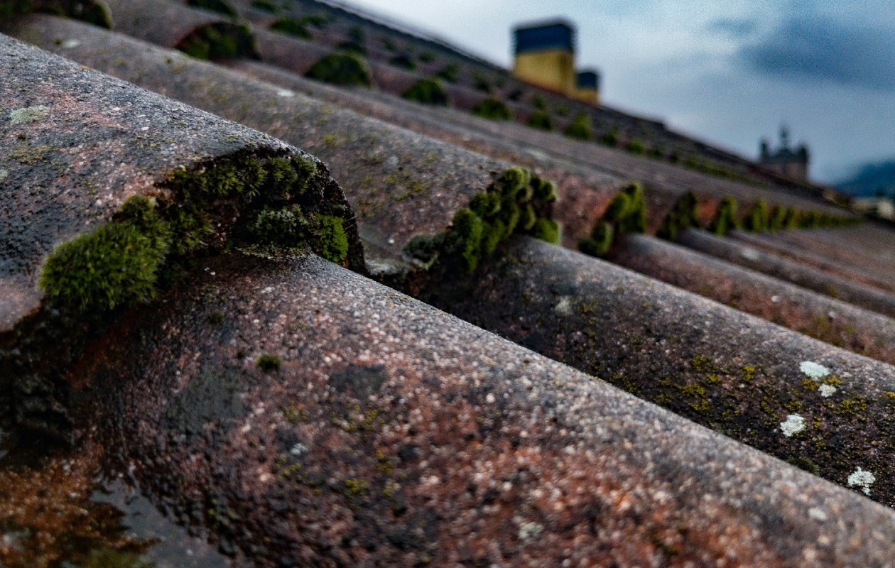 alvaro-araoz-ug4M0QlUhiM-unsplash Unsplash