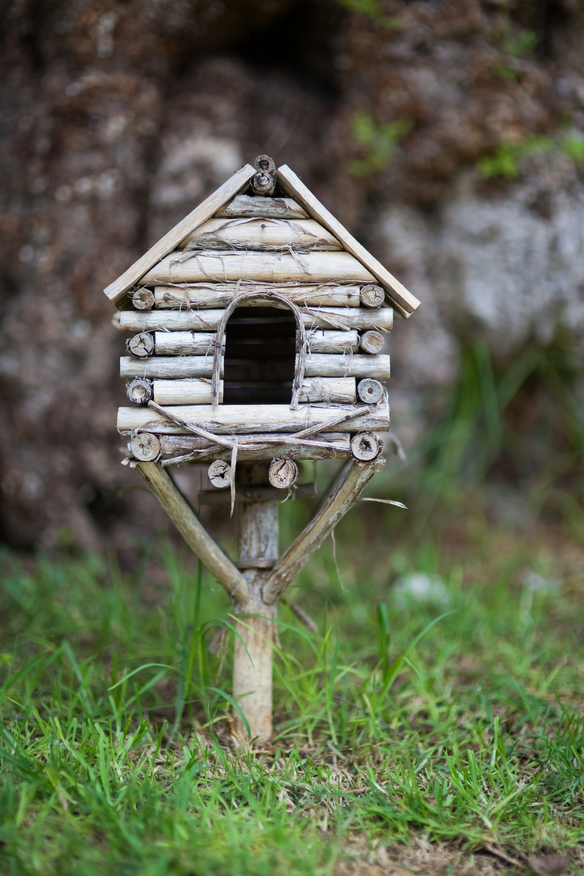 Vogelhuis in de tuin, beeld via Unsplash Fotografie Chepe Nicoli (via Unsplash)