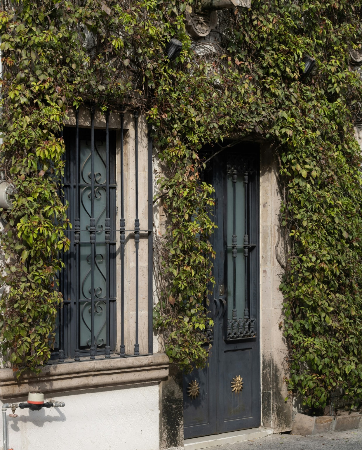 Klimop tegen een gevel | Beeld via Unsplash Beeld via Unsplash