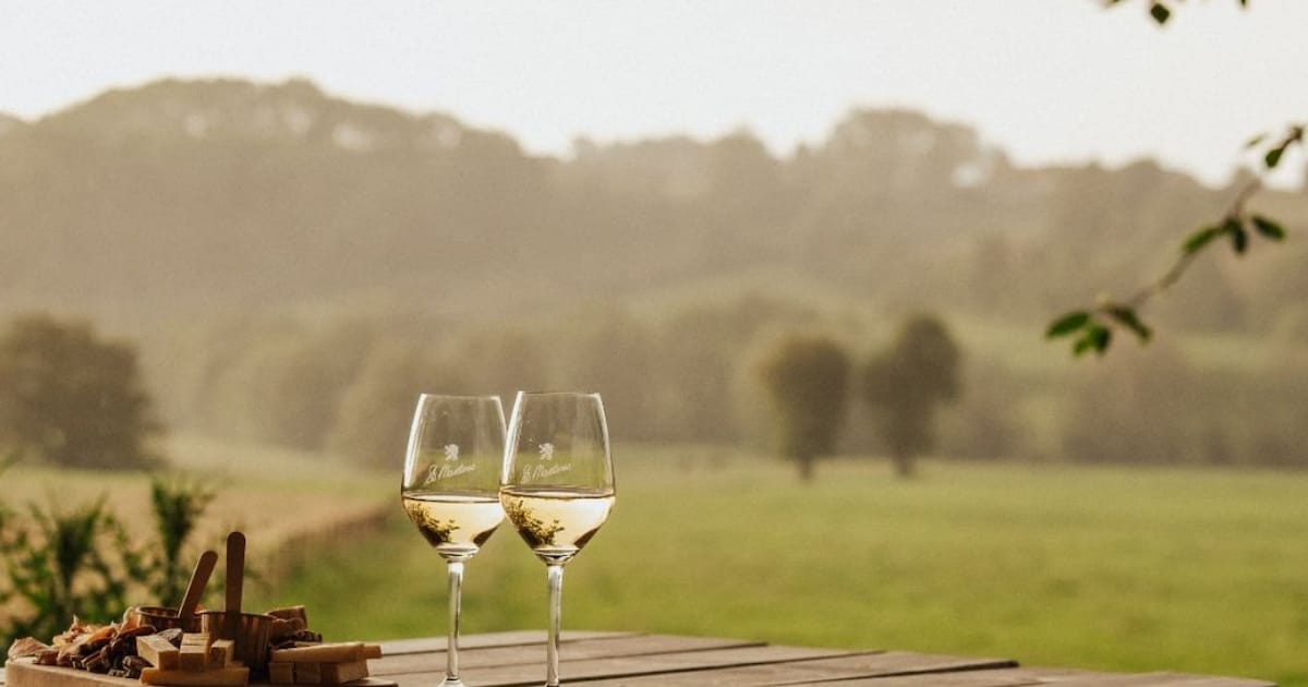 Wine o’clock: 8 heerlijke wijngaarden in Nederland en België