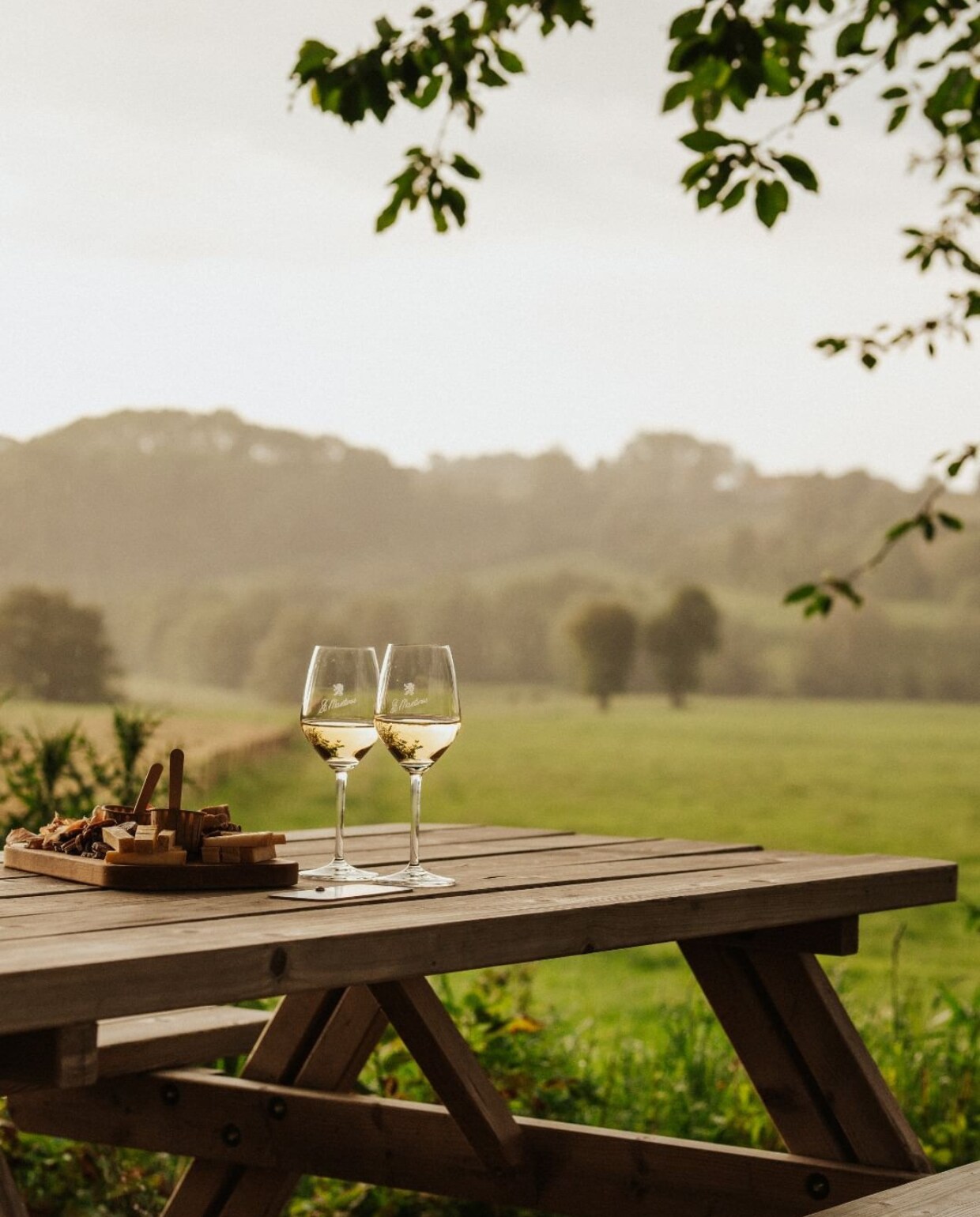 Wine o’clock: 8x heerlijke wijngaarden in Nederland en België