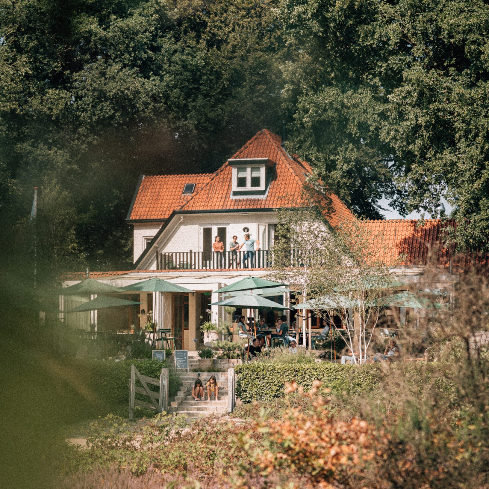 Groepsaccommodatie in de natuur