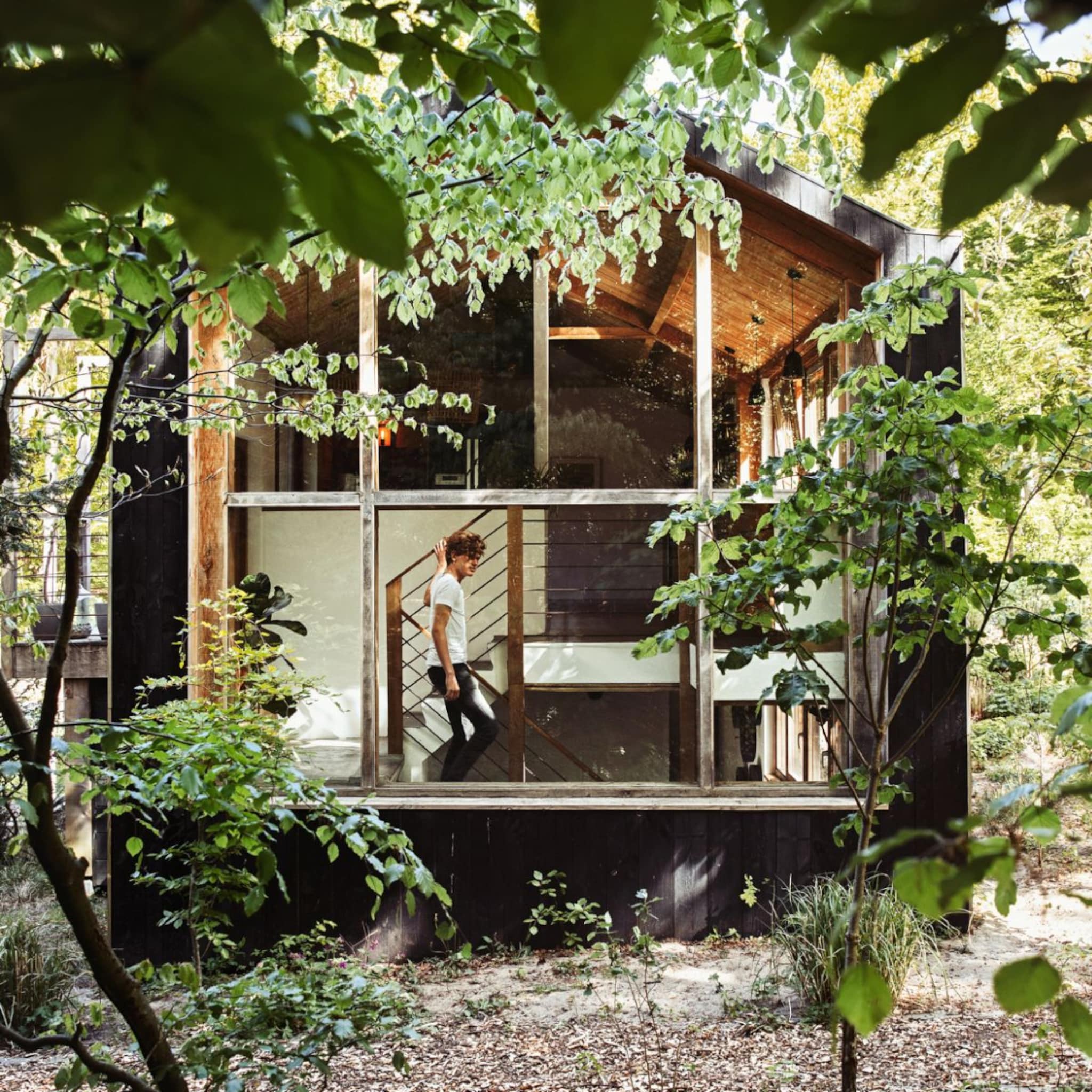 Houten huis midden in het bos