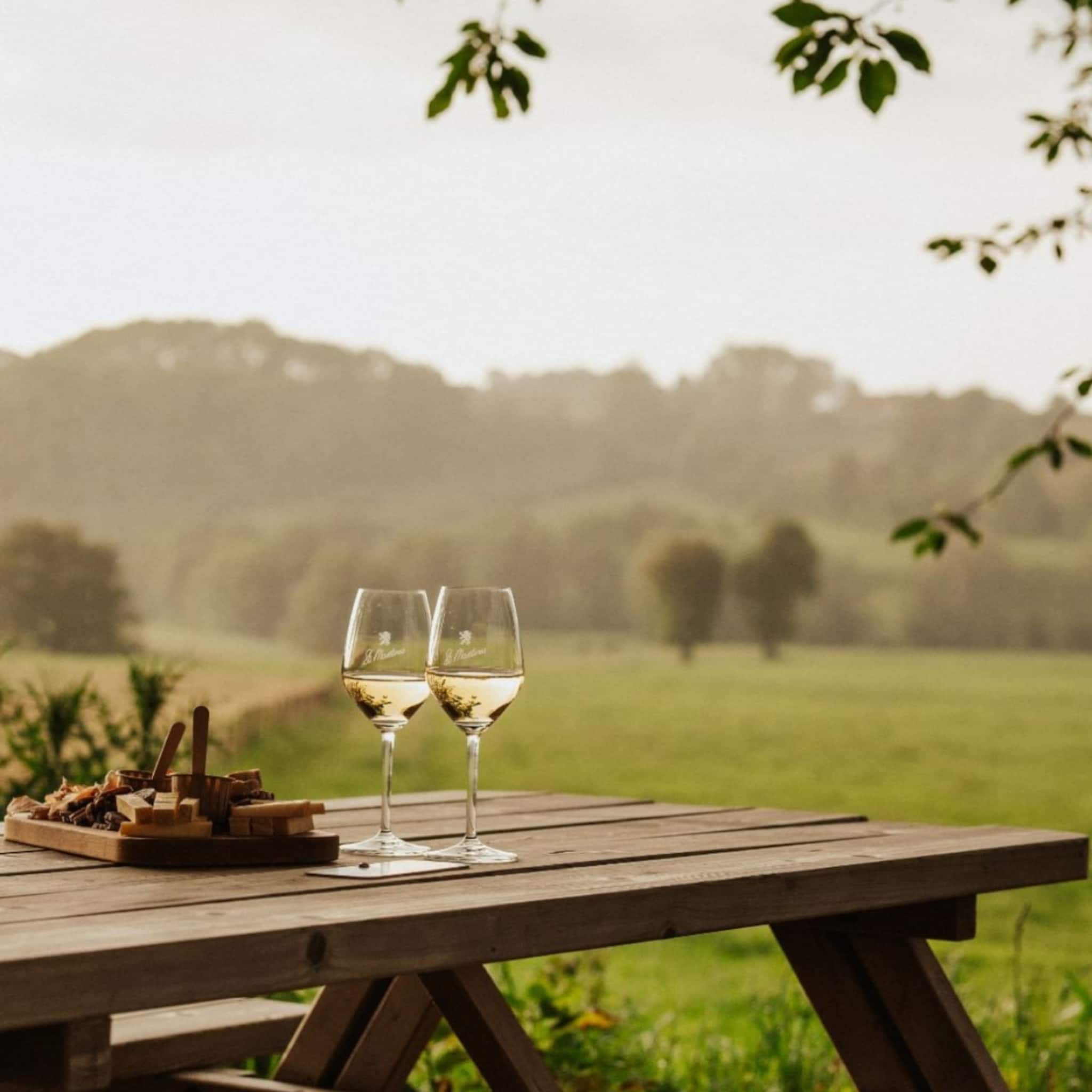 Picknicktafel met een glas wijn in een wijngaard