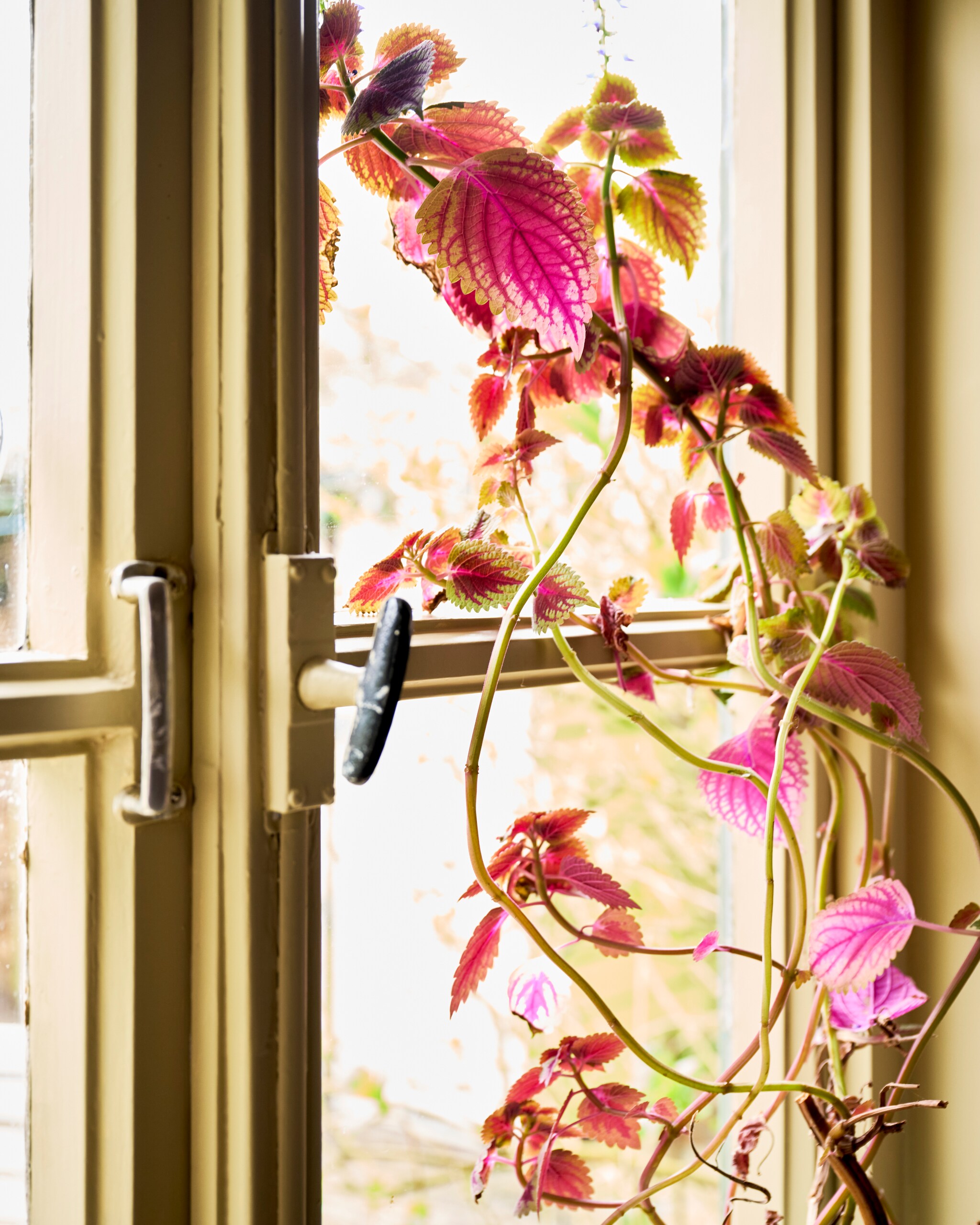 vt10 2024 binnenkijken wonderwall vt 10-2024 | styling Liza Wassenaar | fotografie Sjoerd Eickmans