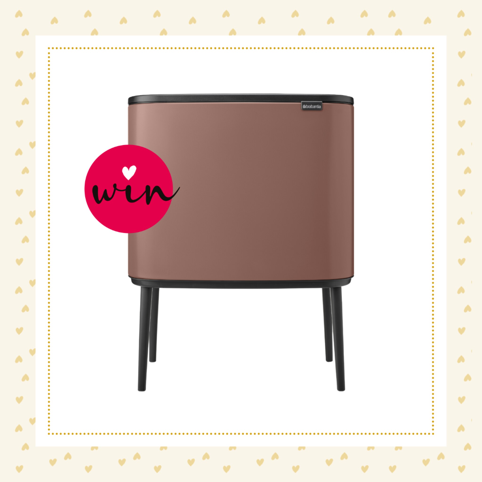 win 5x afvalemmer van brabantia