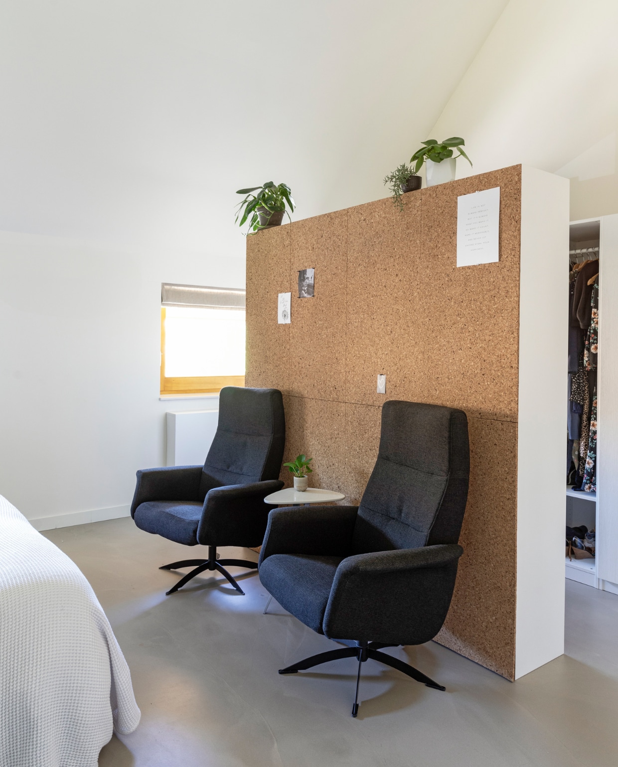 Kasten Pax van Ikea, fauteuils Nova van Gouwe Meubel, bijzettafel Marktplaats, potten Tuincentrum Almeerplant. vtwonen 9-2023 | styling Ilona Jongepier | fotografie Dana van Leeuwen