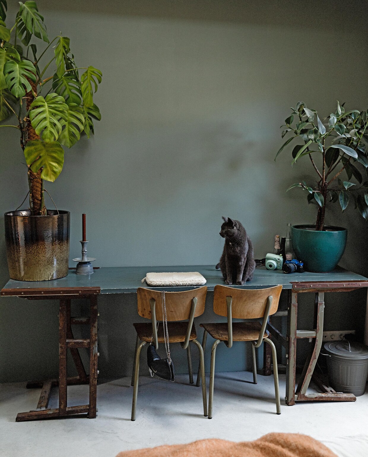 Oude, smaller gemaakte werktafel vintage, schoolstoelen vintage. Zinken emmer, bloempotten en planten ByDennis. Muurkleur Zink van vtwnonen. vtwonen 03-2022 | styling Ilona Jongepier | fotografie Dana van Leeuwen