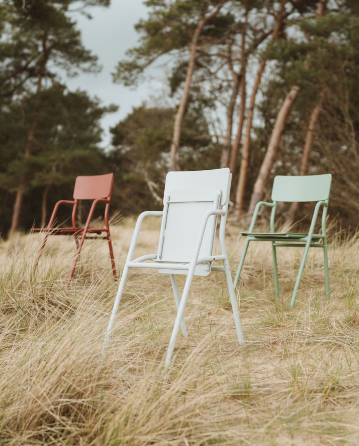 Beeld van green epics beeld van GreenEpics shop