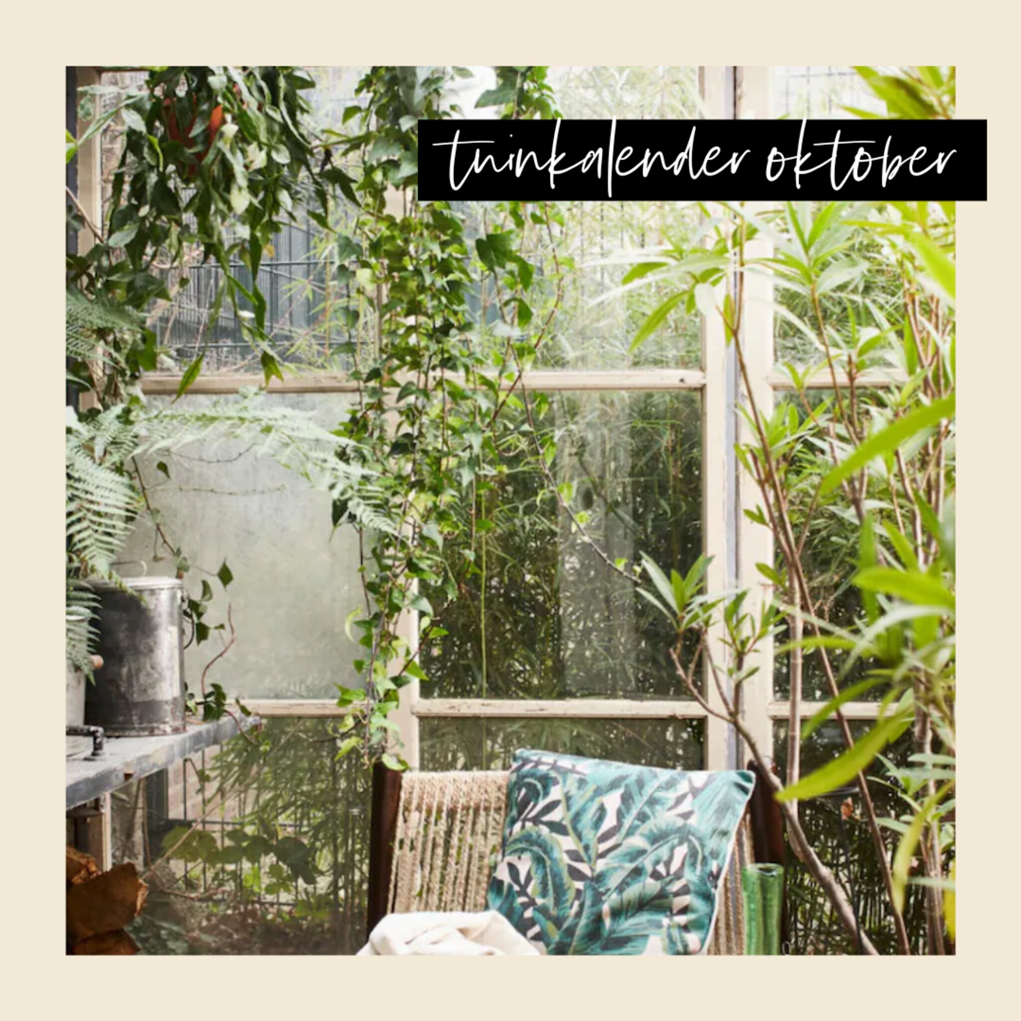 Tuinkamer met een stoel van rotan tussen de planten