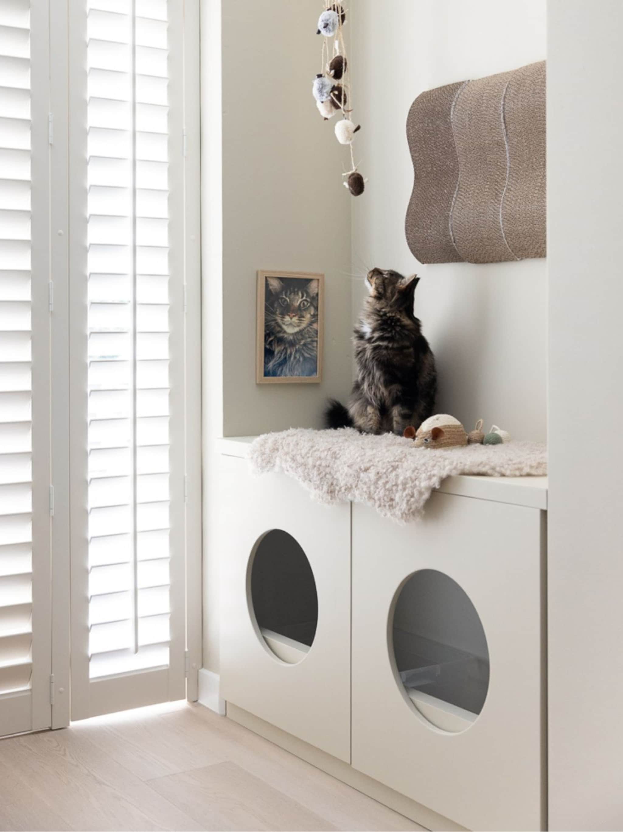 kattenkamer inrichten tips