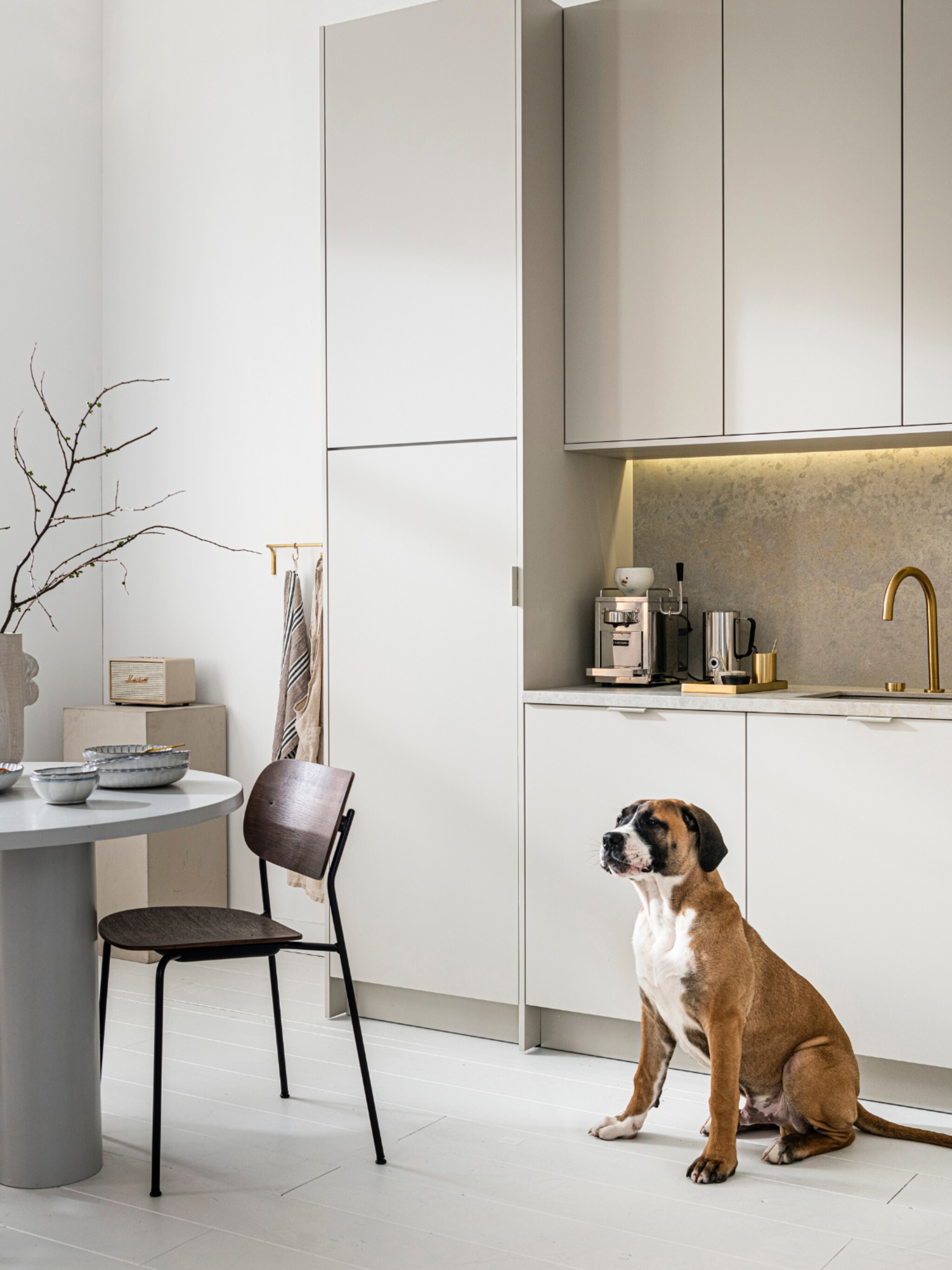 9x musthaves hond in huis